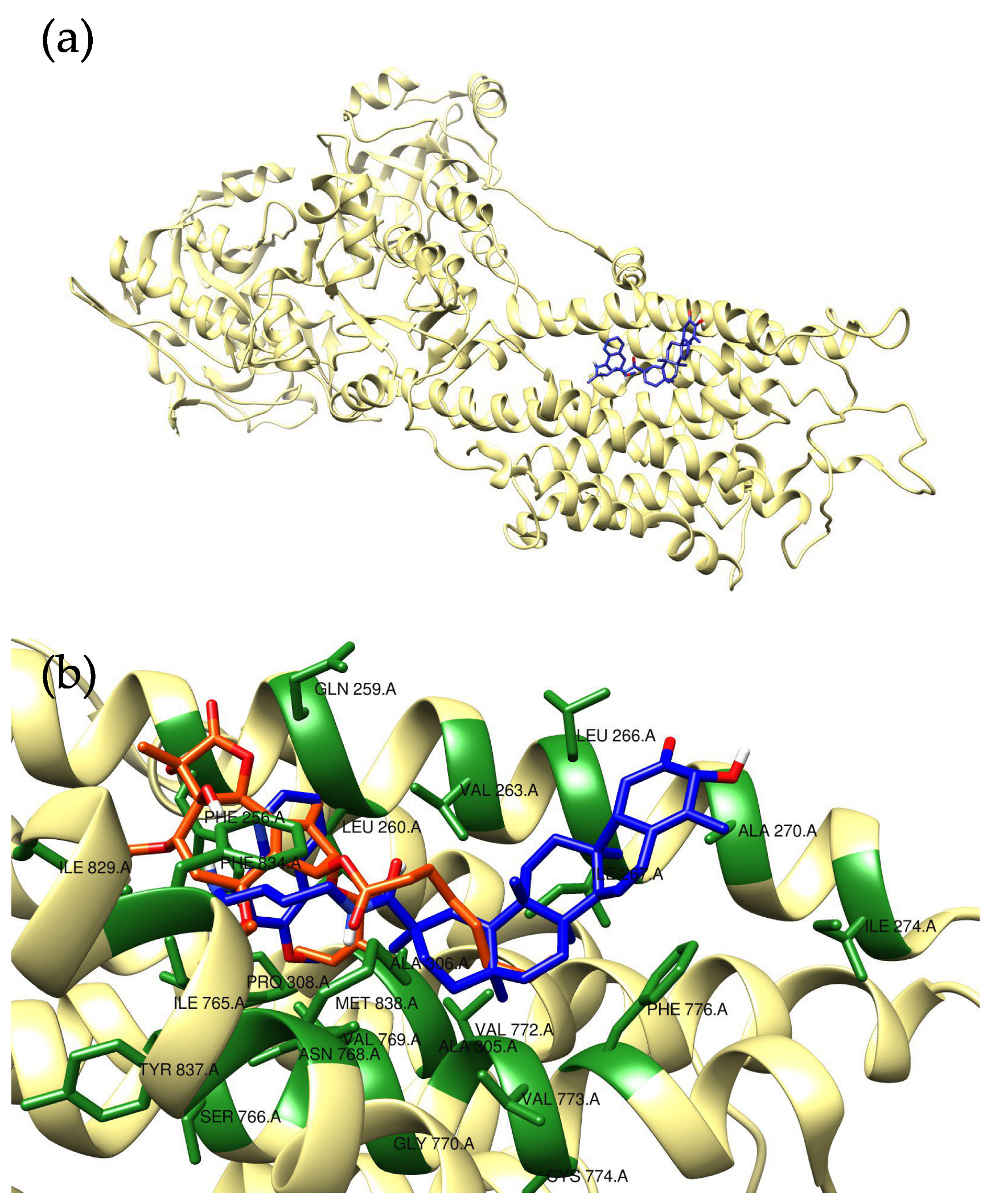 Molbank 2023 m1716 g002