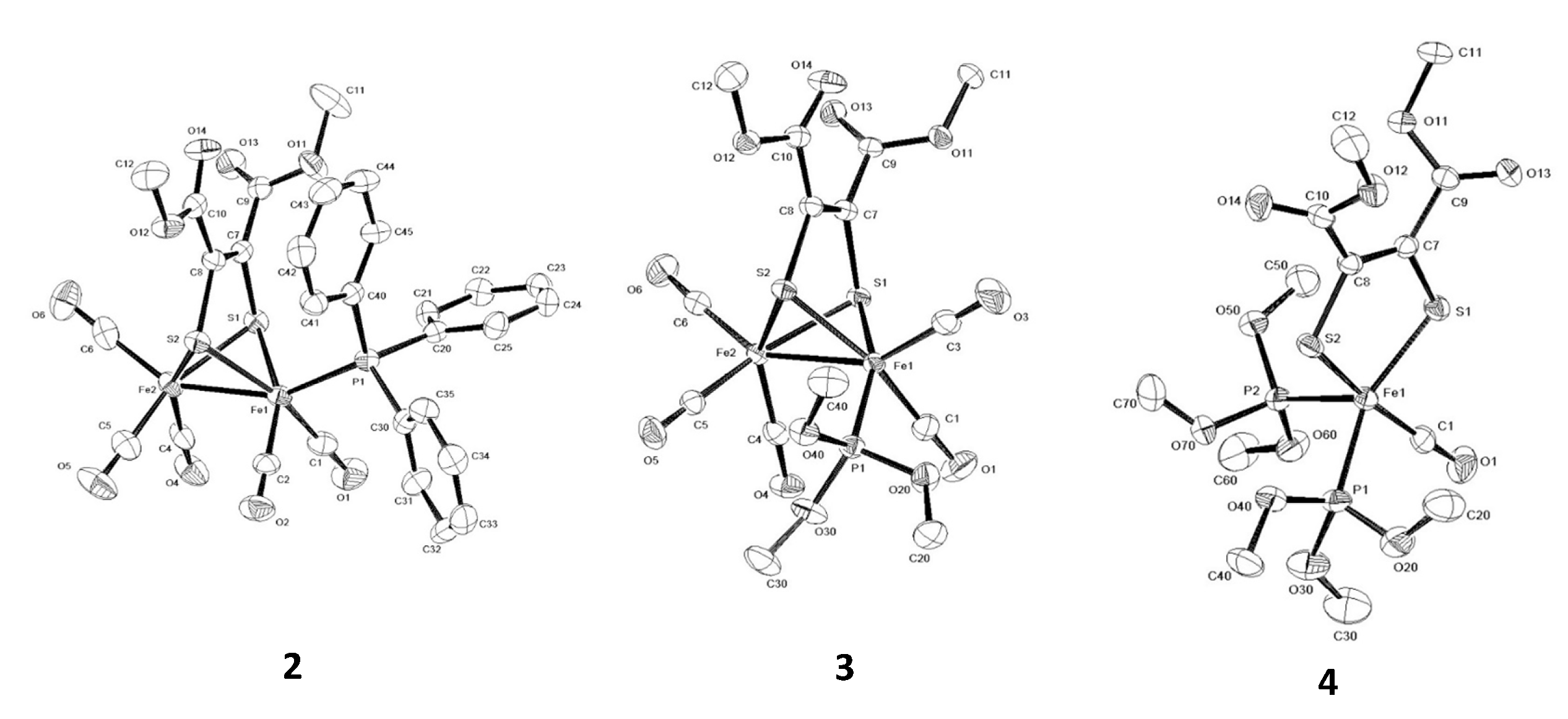 Molbank 2023 m1719 g001