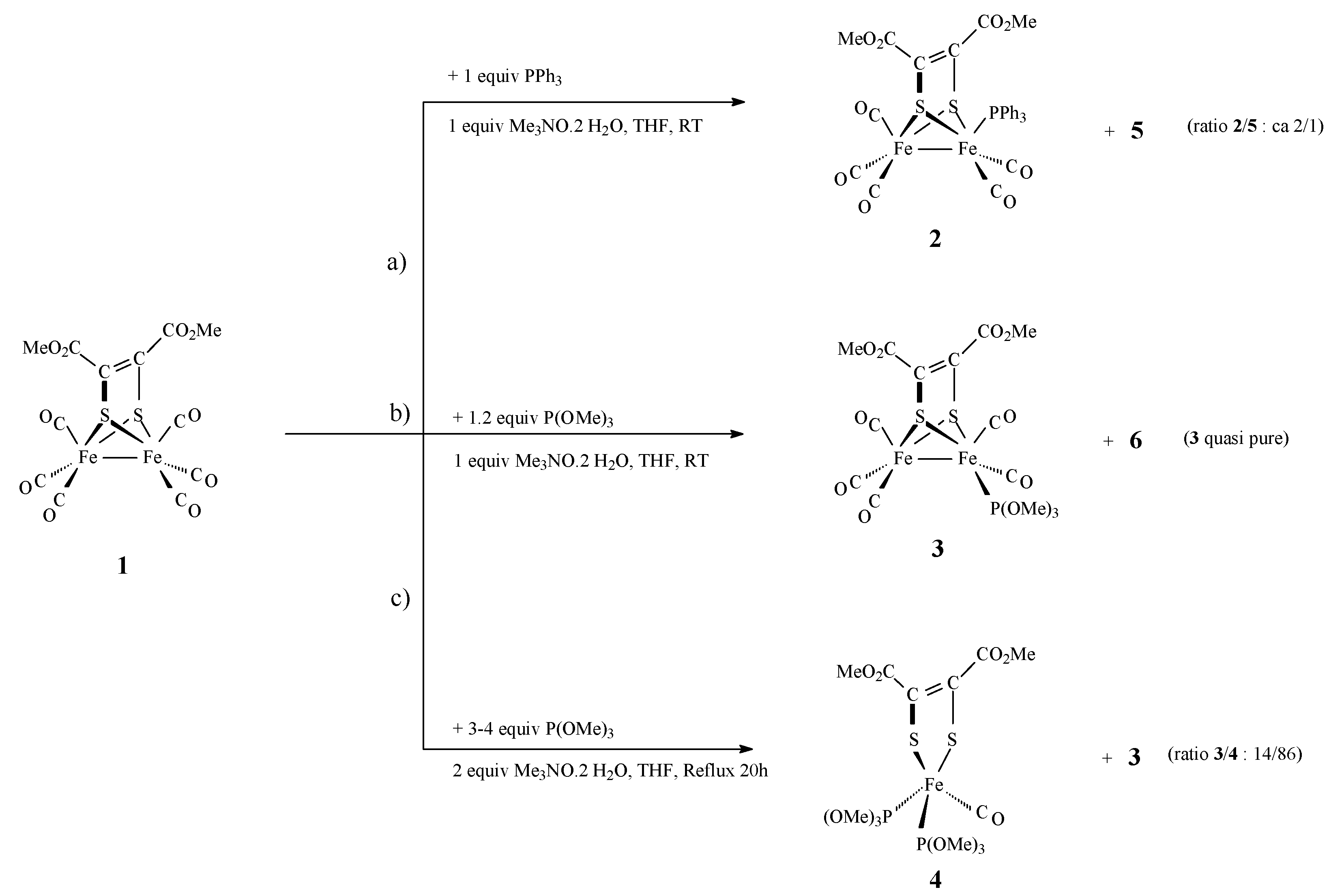 Molbank 2023 m1719 sch002