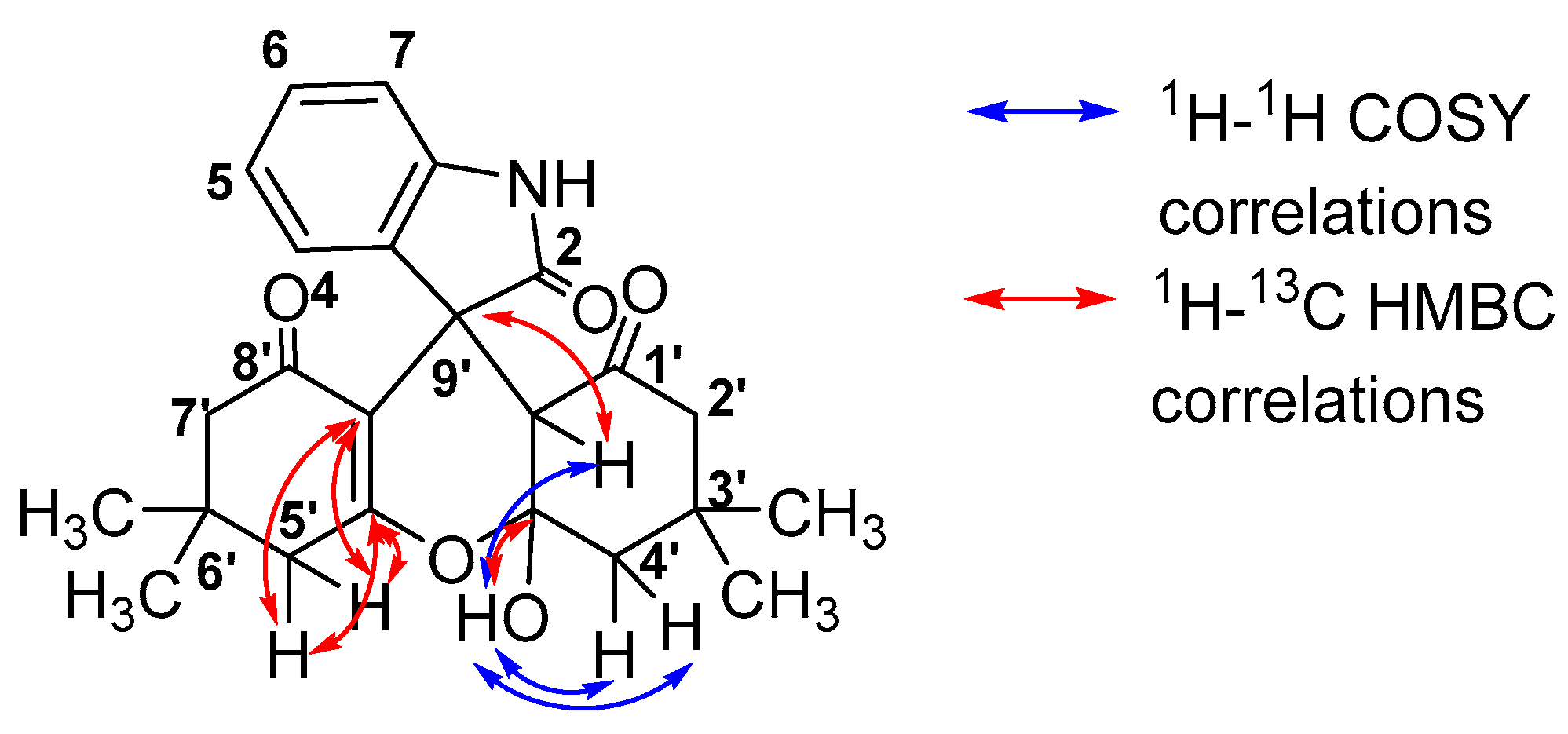 Molbank 2023 m1721 g001