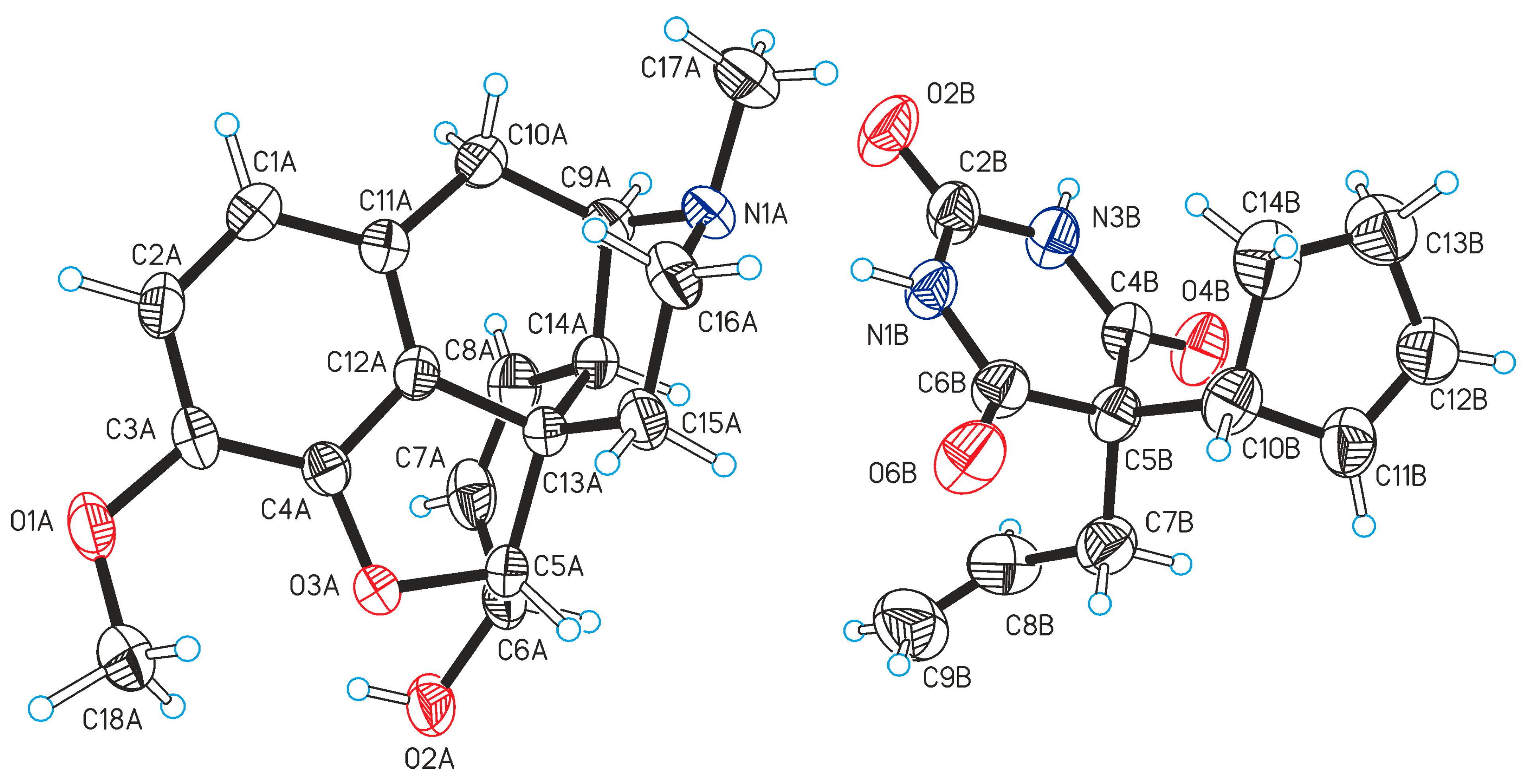 Molbank 2023 m1722 g001