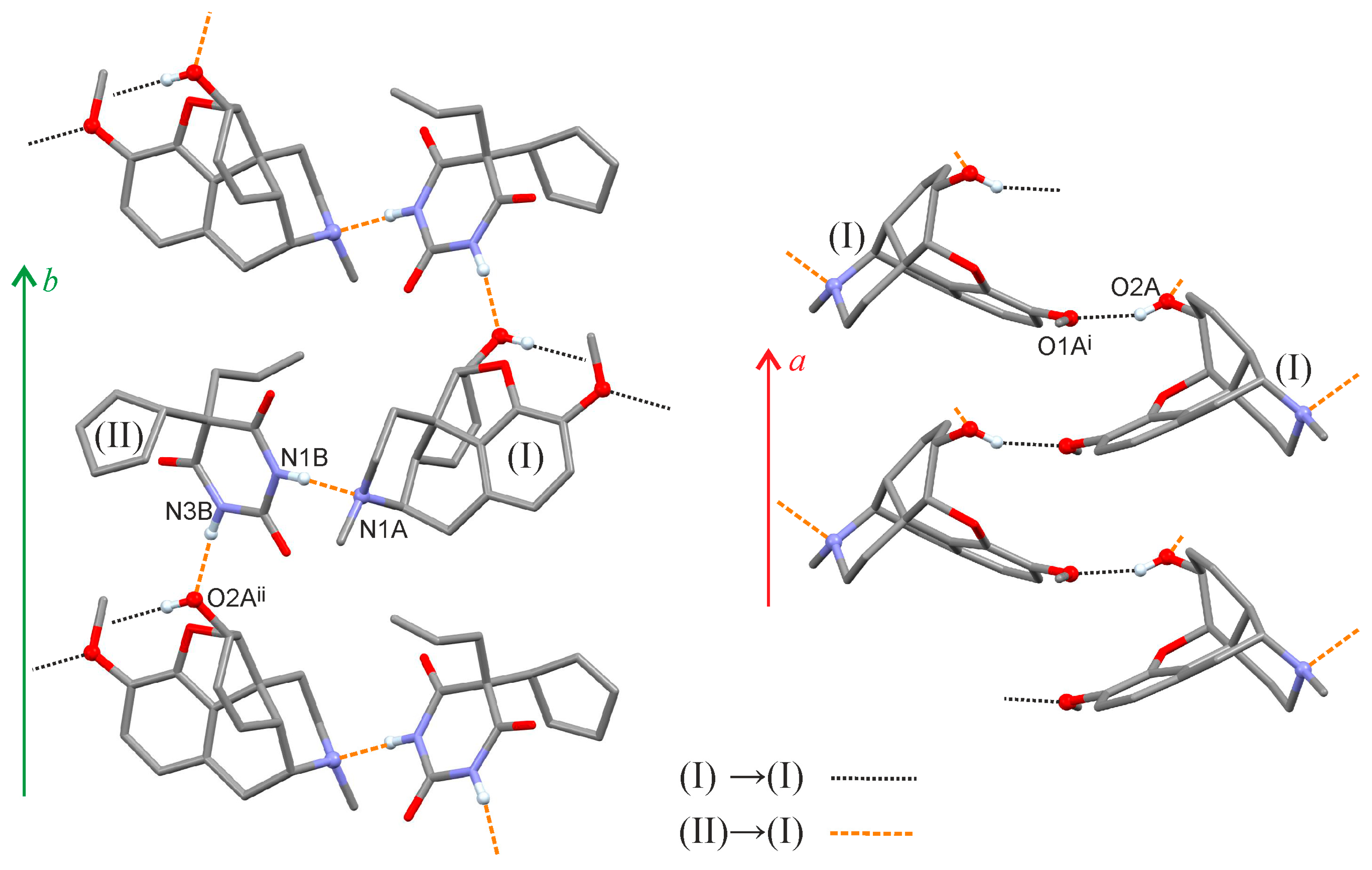 Molbank 2023 m1722 g003