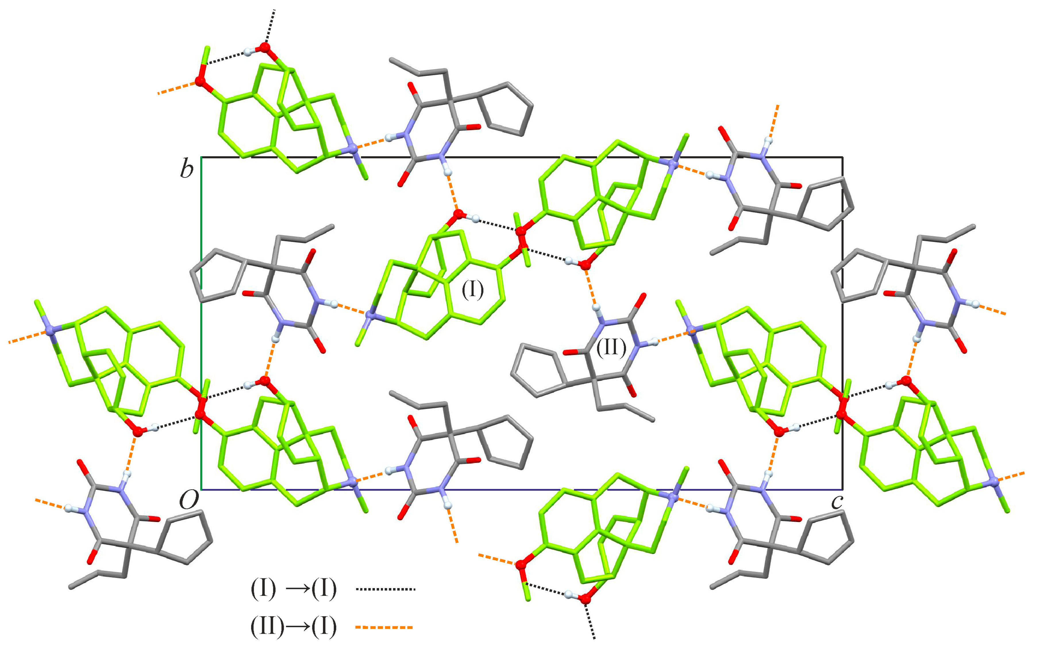Molbank 2023 m1722 g004