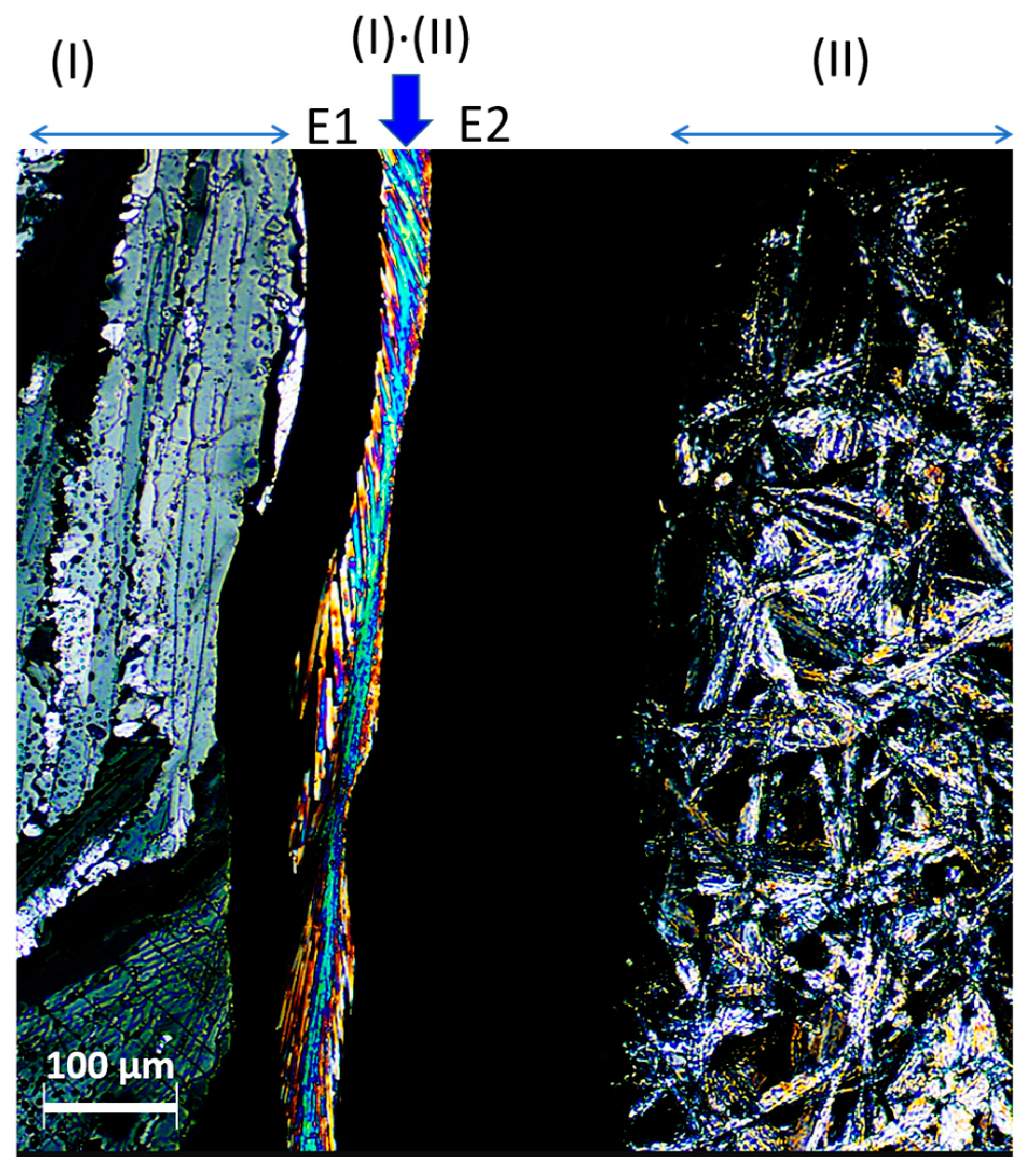 Molbank 2023 m1722 g005