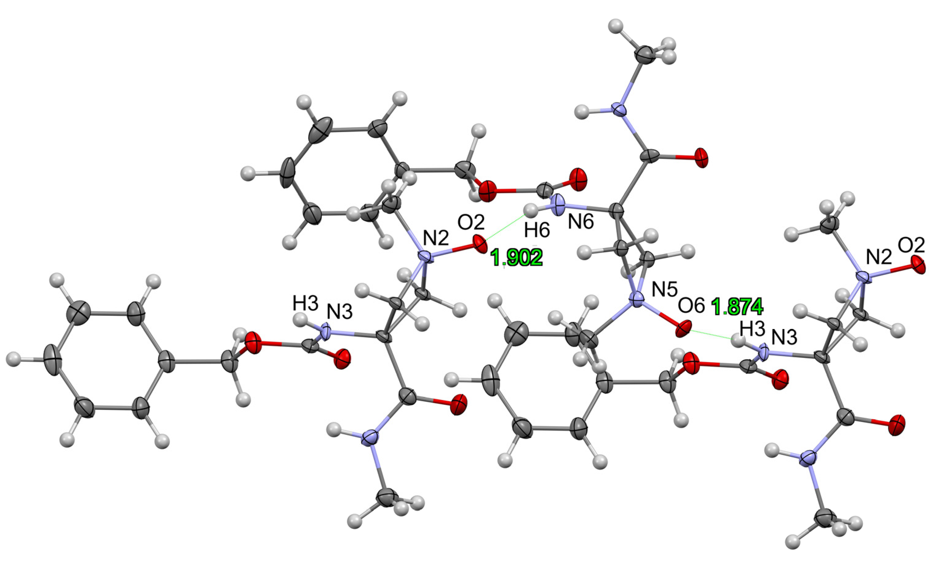 Molbank 2023 m1726 g004 Molbank 2023 m1726 g004