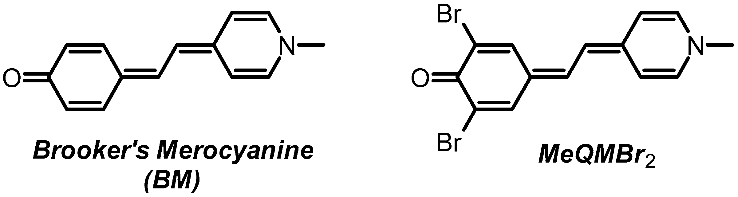 Molbank 2023 m1727 g003