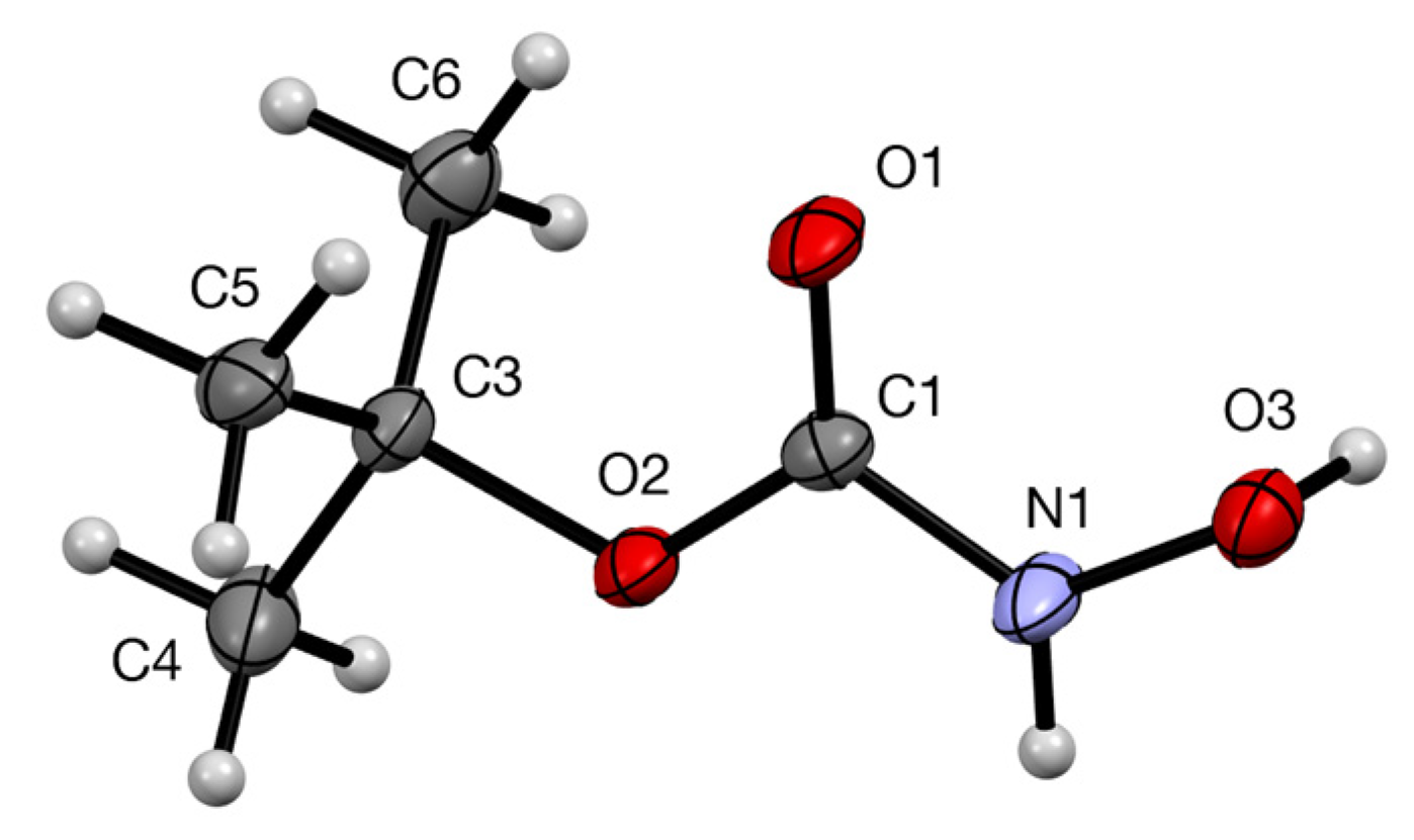 Molbank 2023 m1728 g002