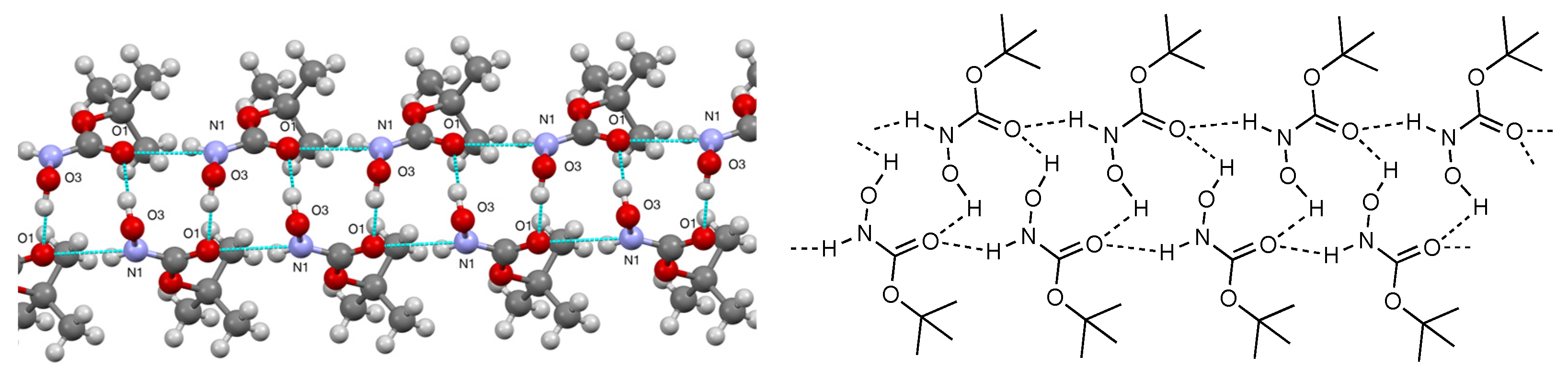 Molbank 2023 m1728 g003