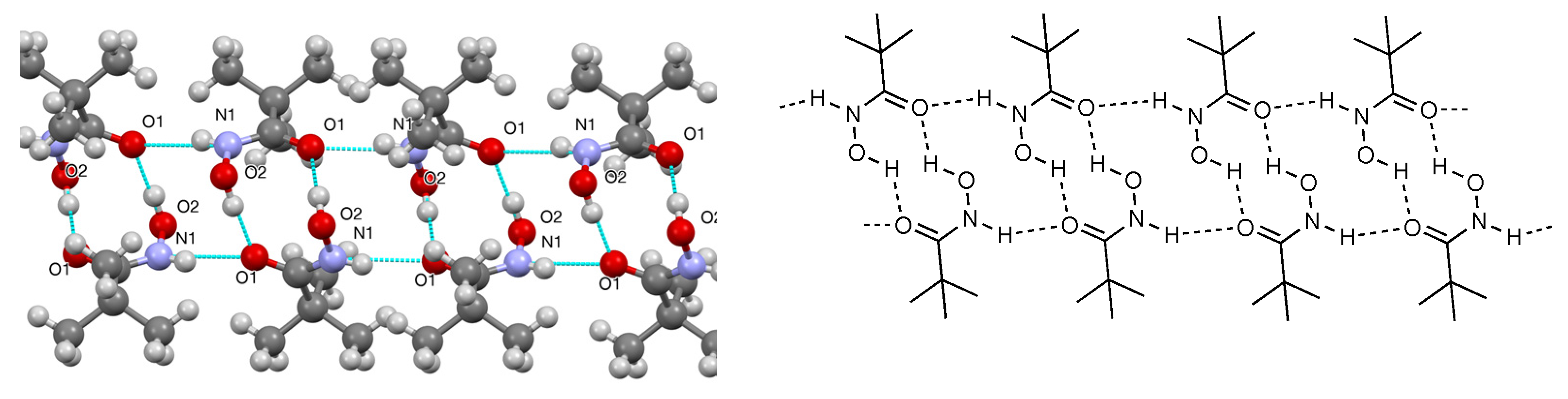 Molbank 2023 m1728 g004