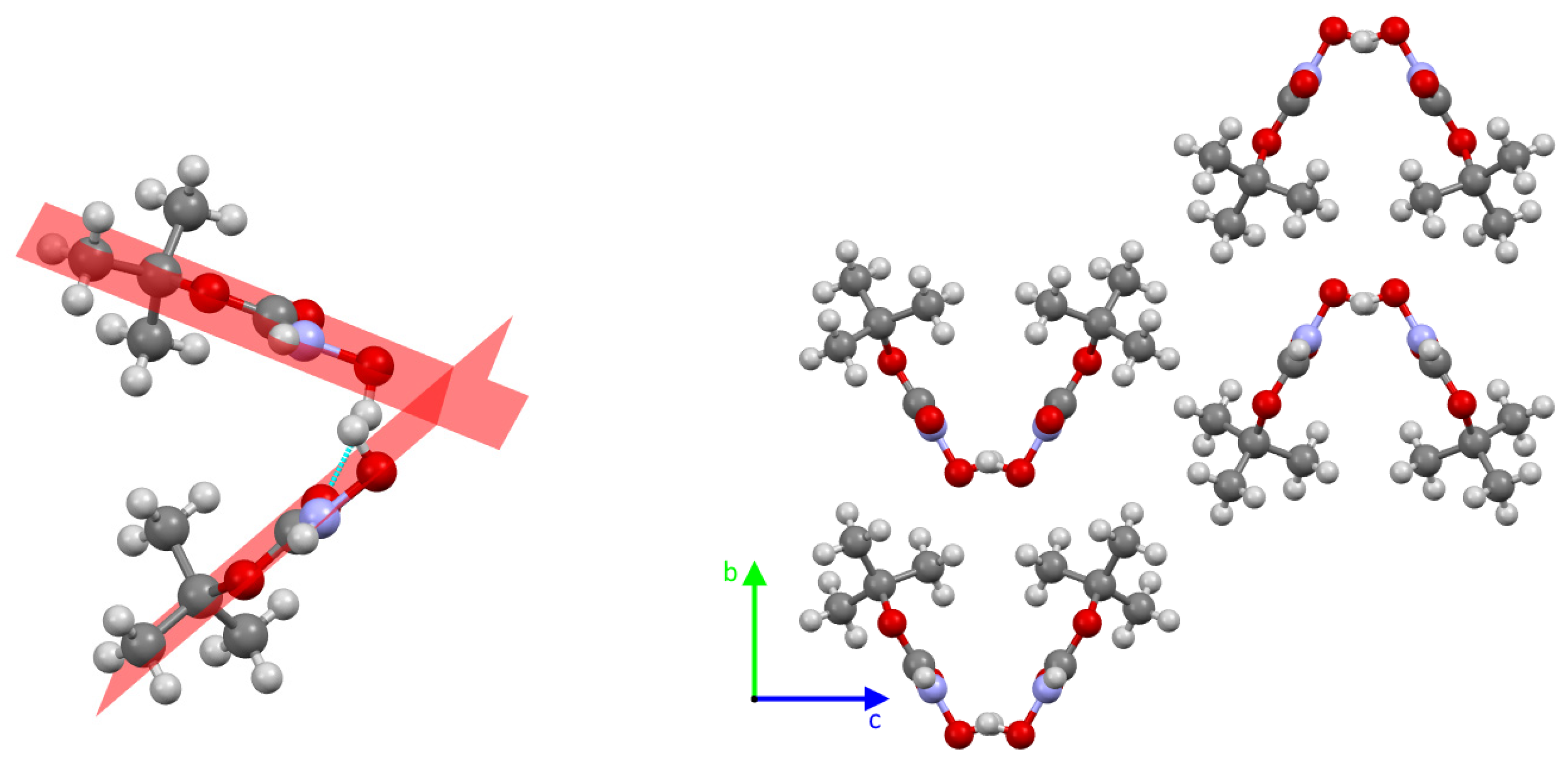 Molbank 2023 m1728 g005