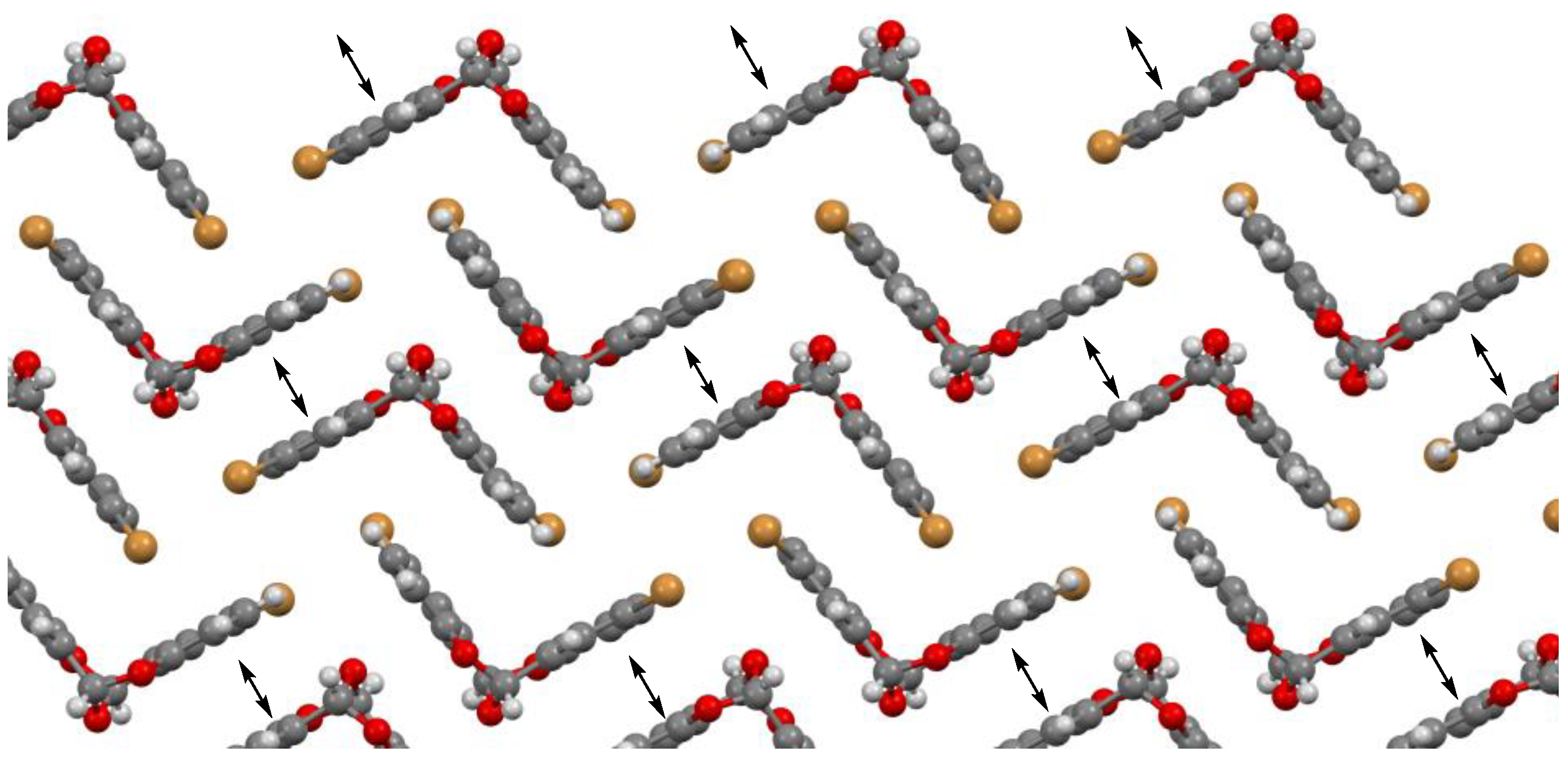Molbank 2023 m1729 g004 Molbank 2023 m1729 g004