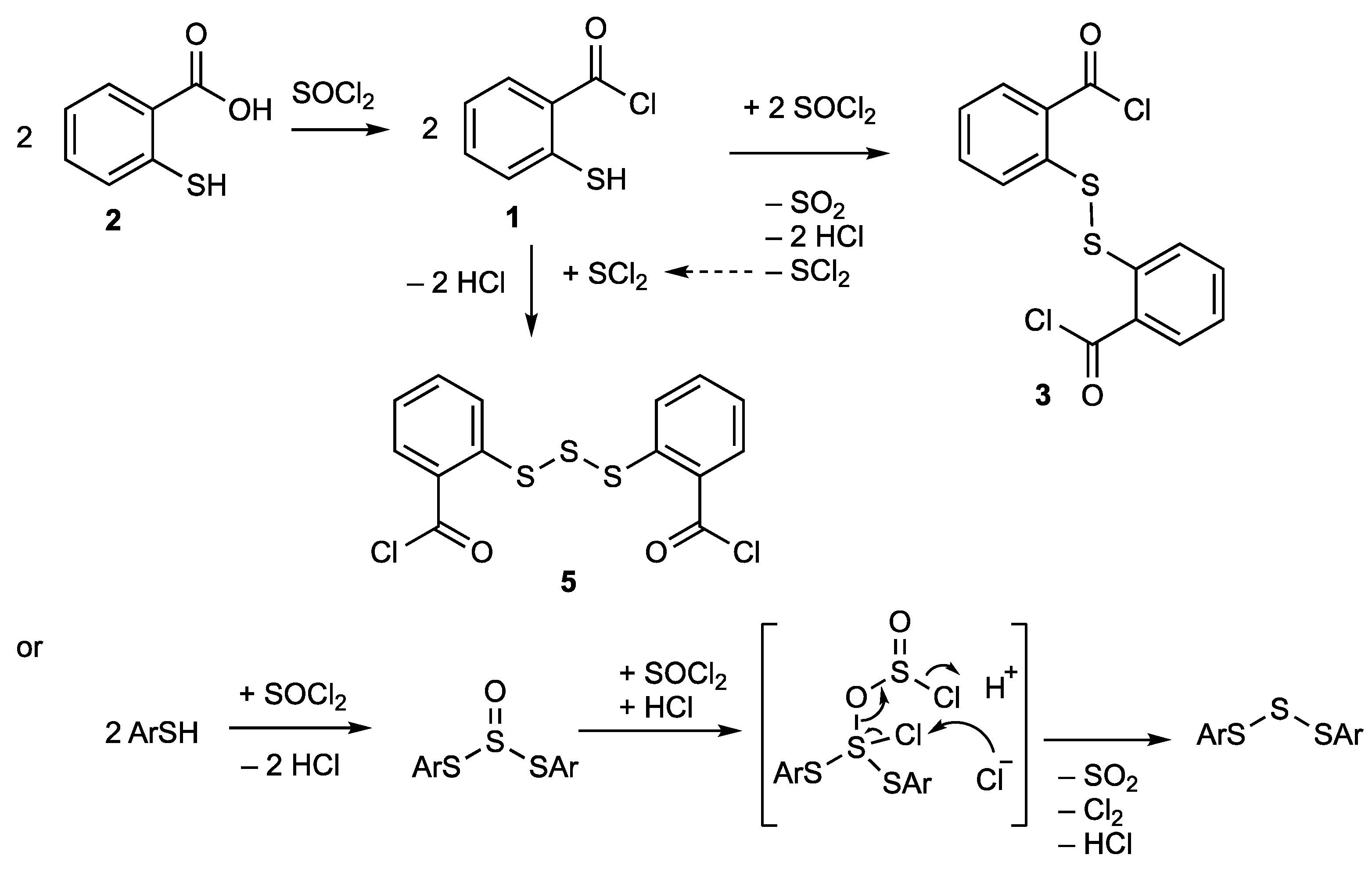Molbank 2023 m1731 g005