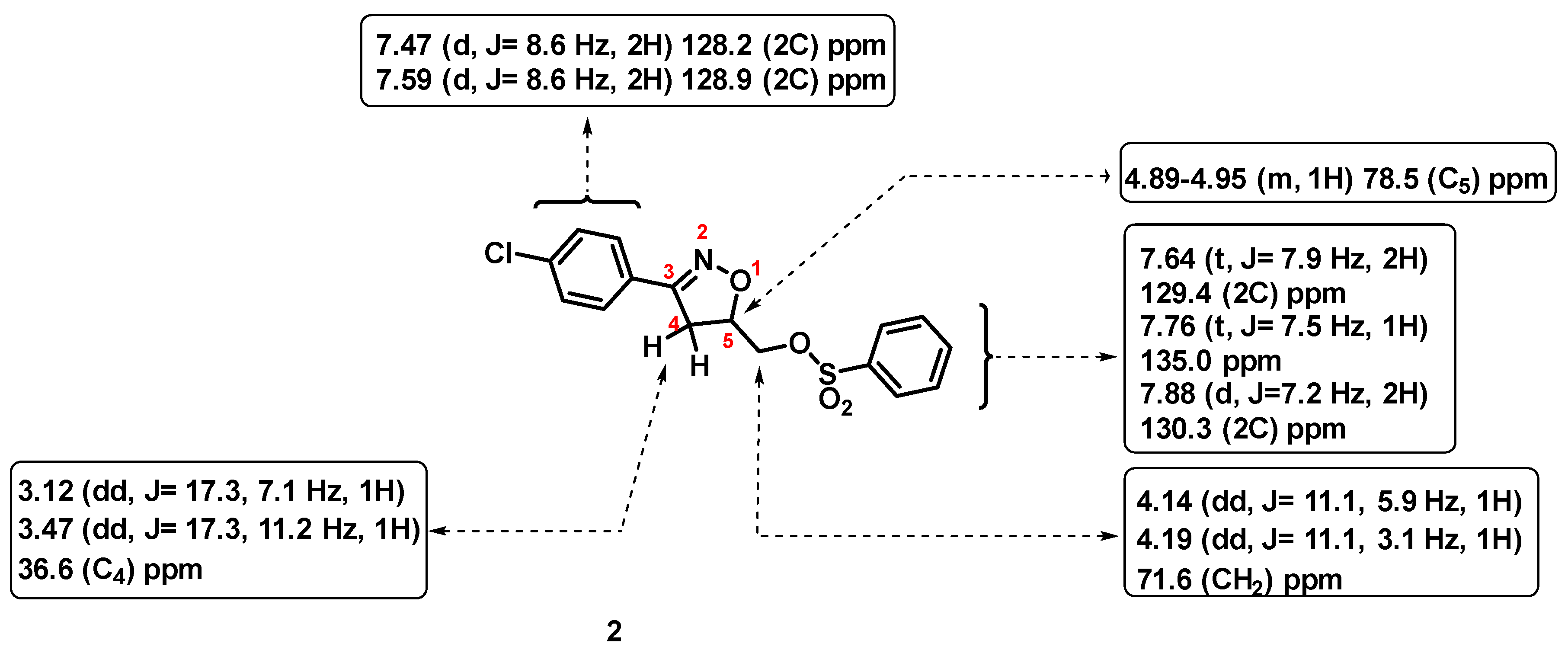 Molbank 2023 m1732 g001