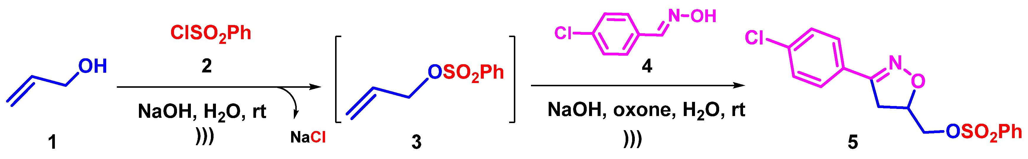 Molbank 2023 m1732 sch001