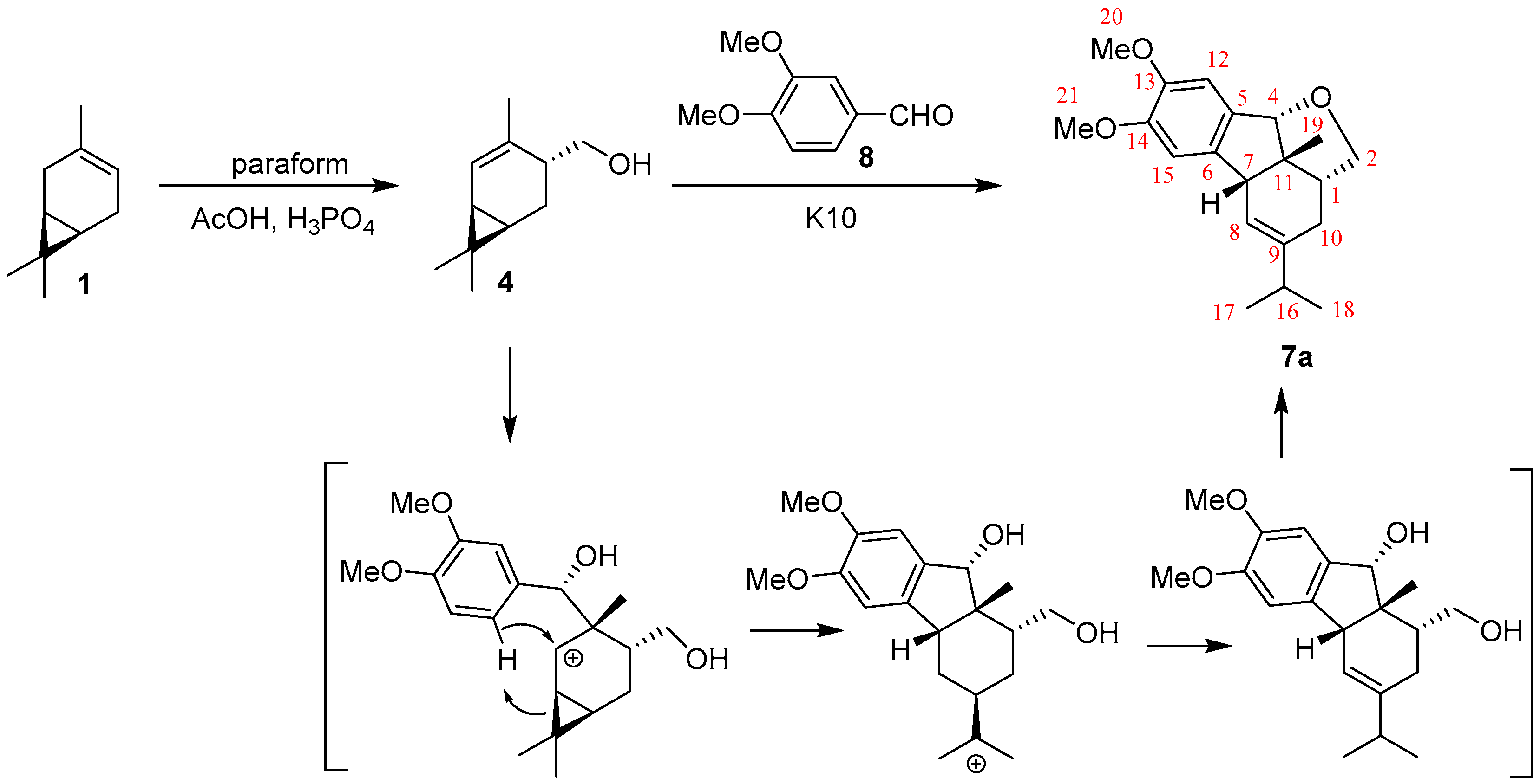 Molbank 2023 m1734 sch003