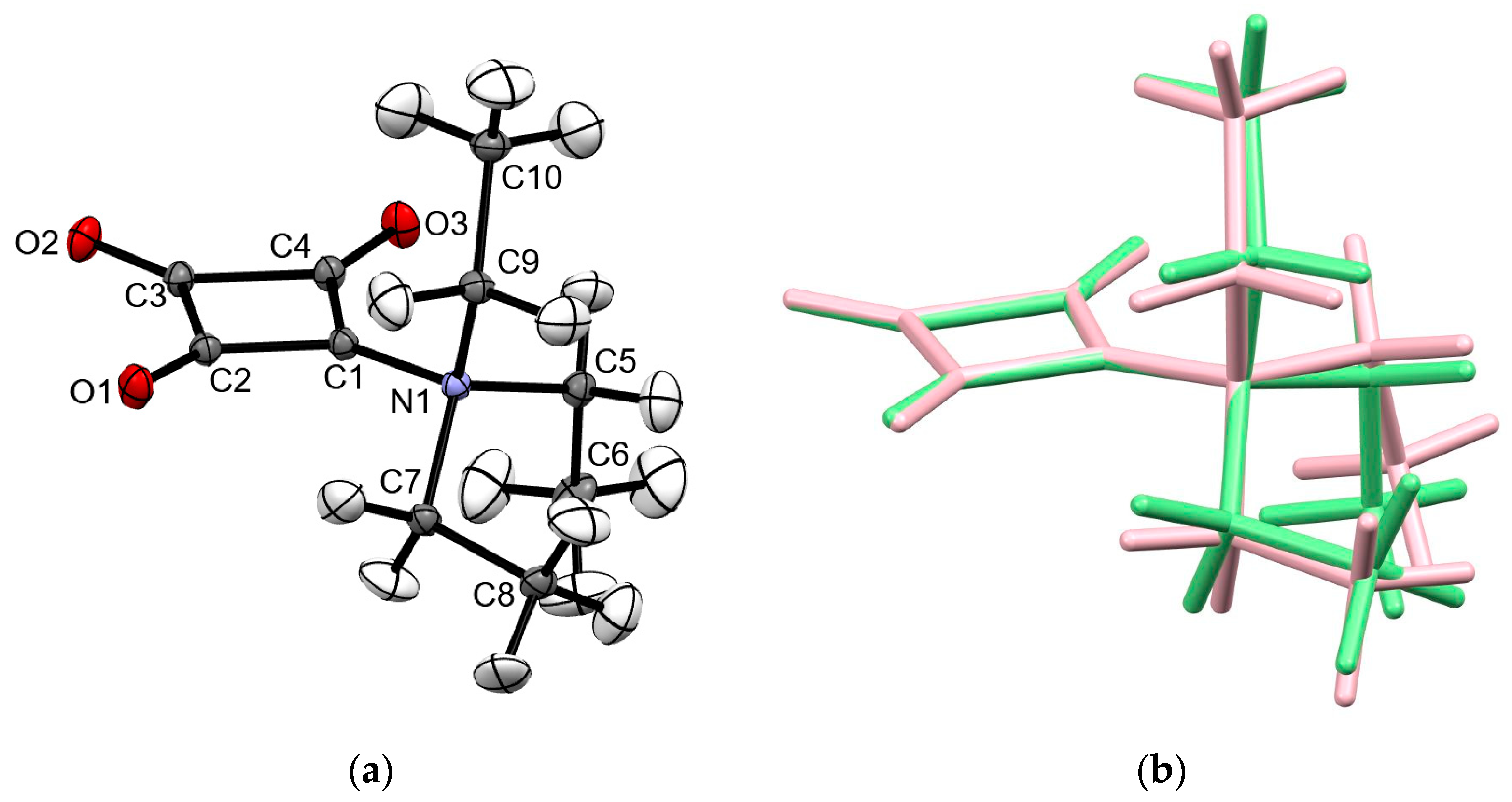 Molbank 2023 m1737 g001
