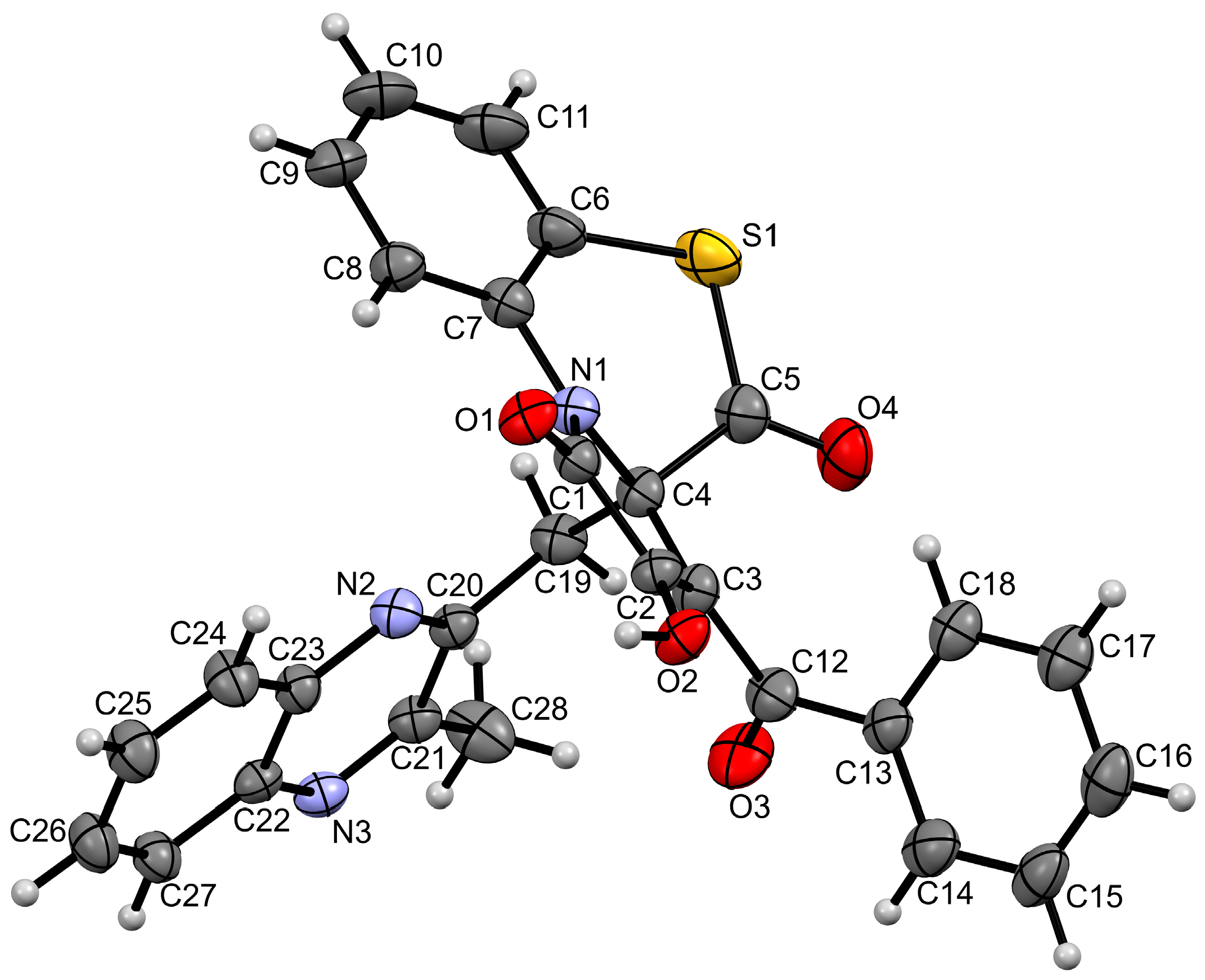 Molbank 2023 m1749 g002