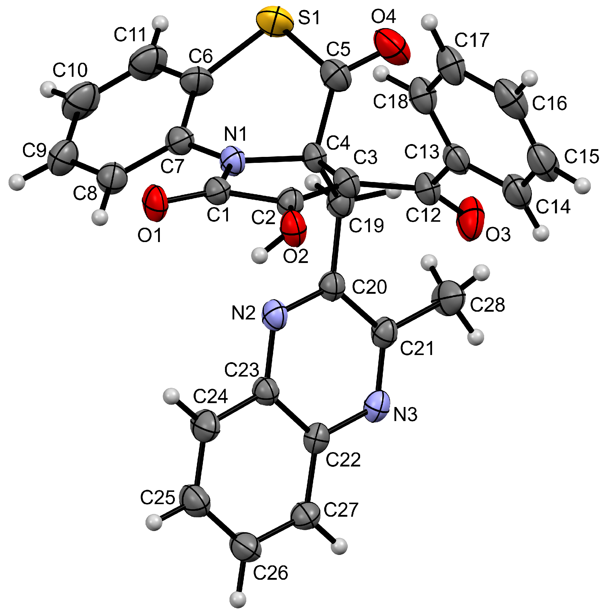 Molbank 2023 m1749 g003