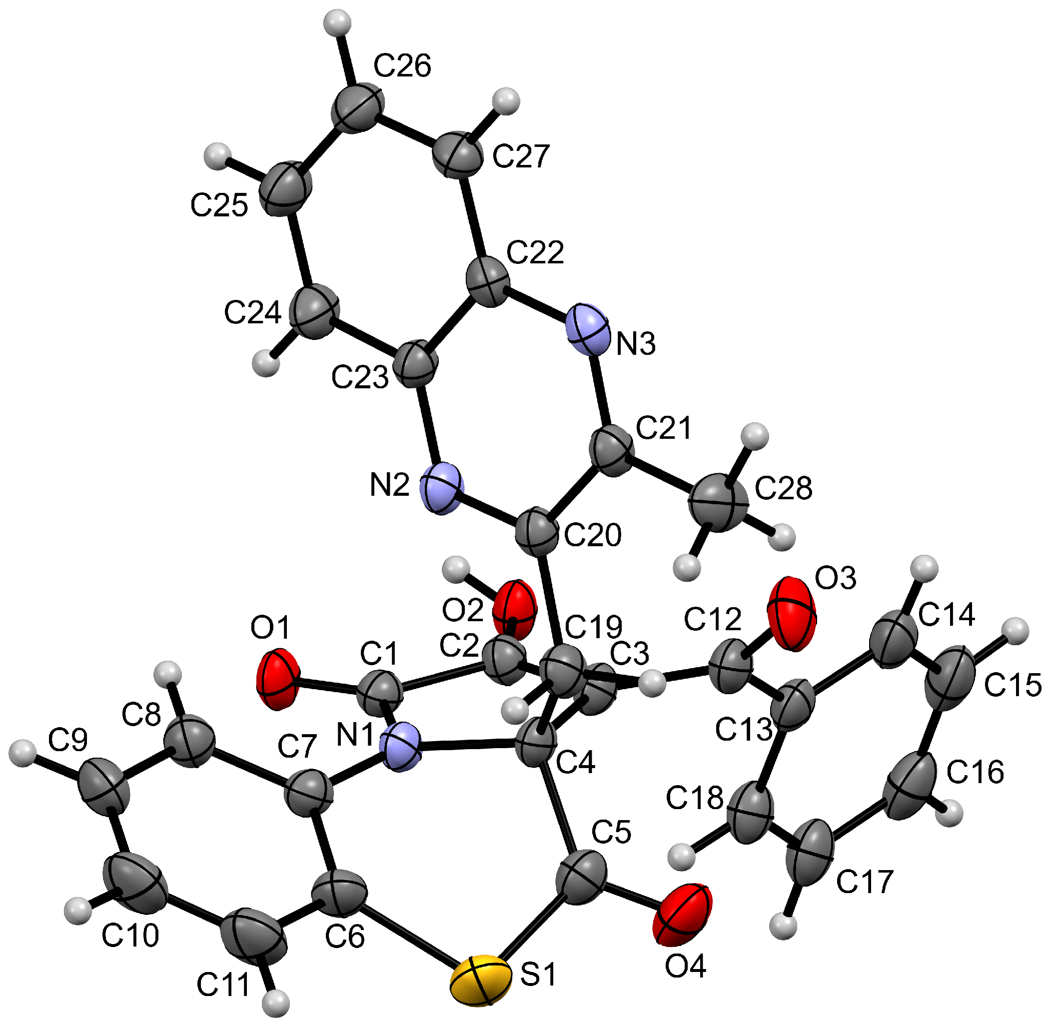 Molbank 2023 m1749 g004