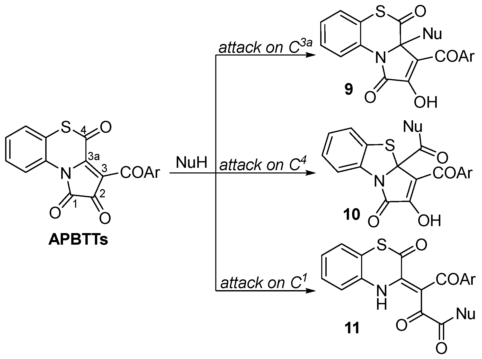 Molbank 2023 m1749 sch003