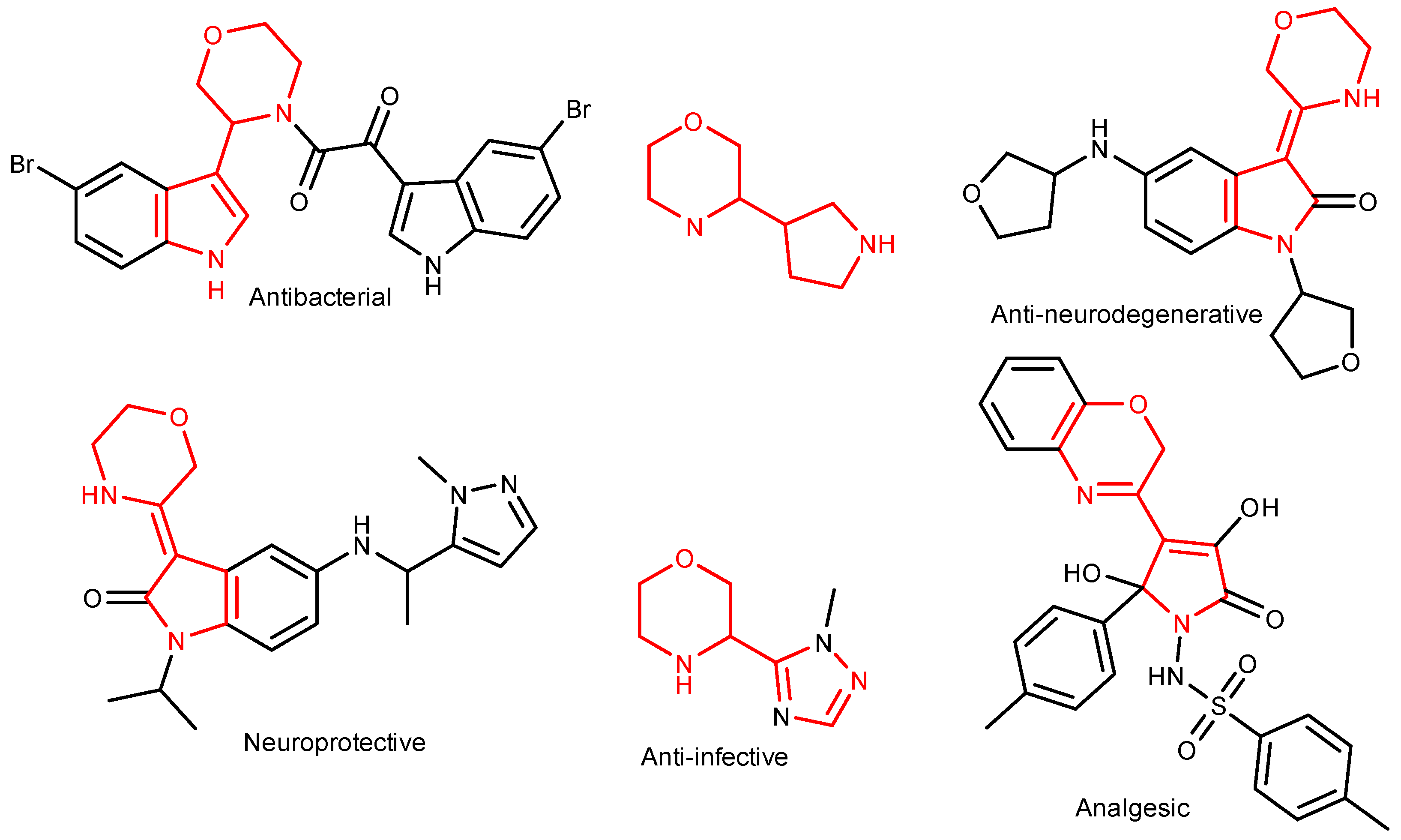 Molbank 2023 m1751 g001