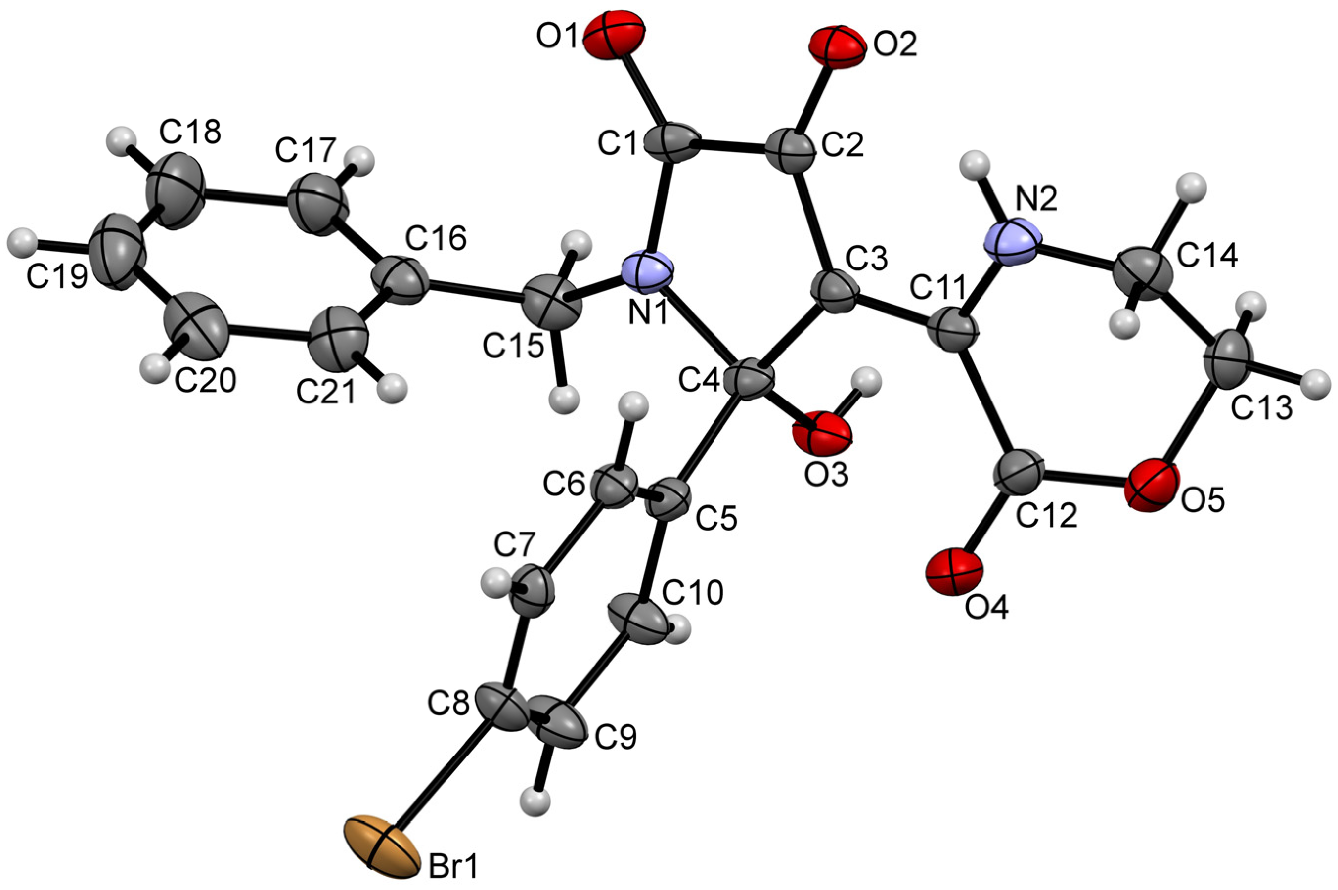 Molbank 2023 m1751 g002