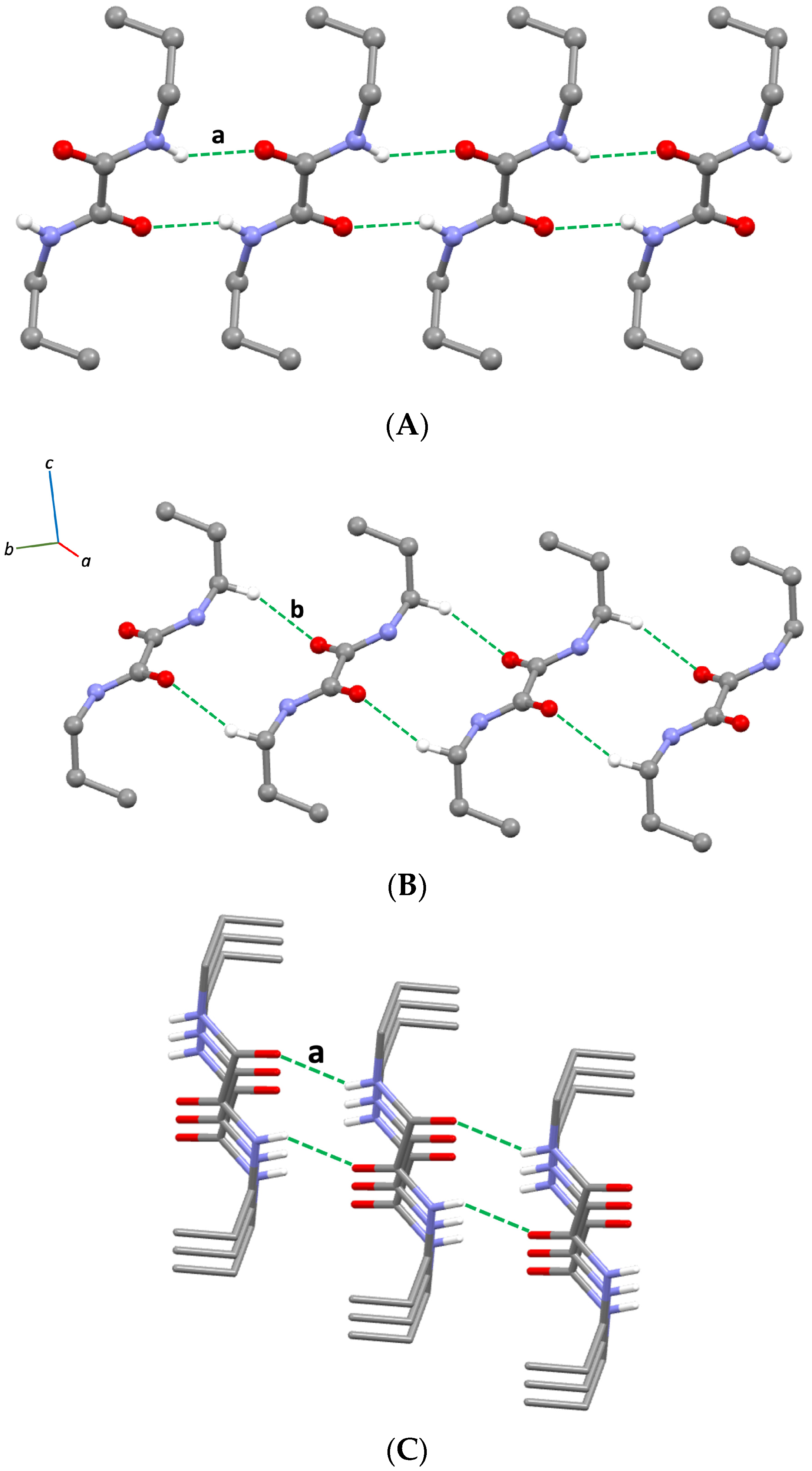 Molbank 2024 m1753 g002