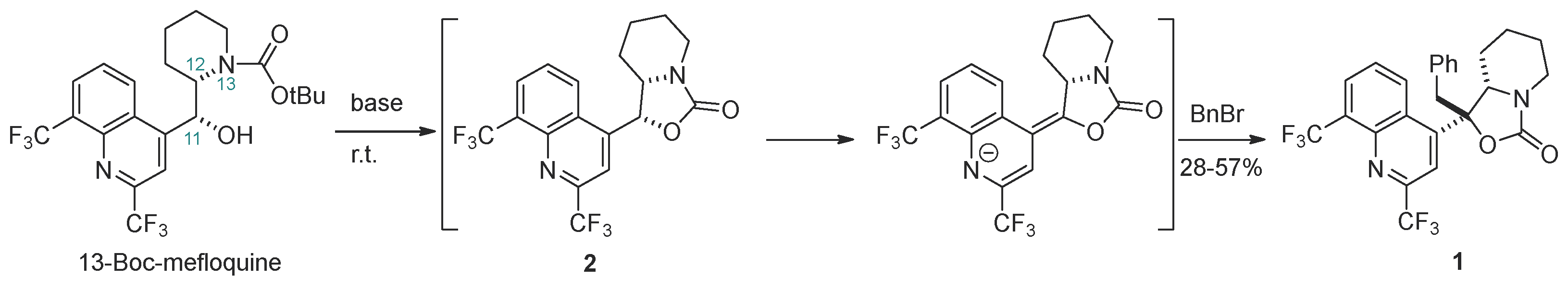 Molbank 2024 m1756 g001