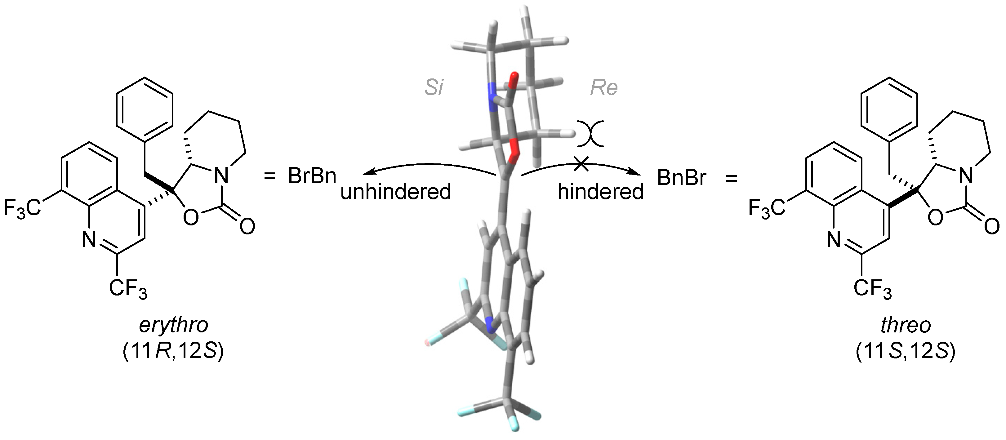 Molbank 2024 m1756 g003