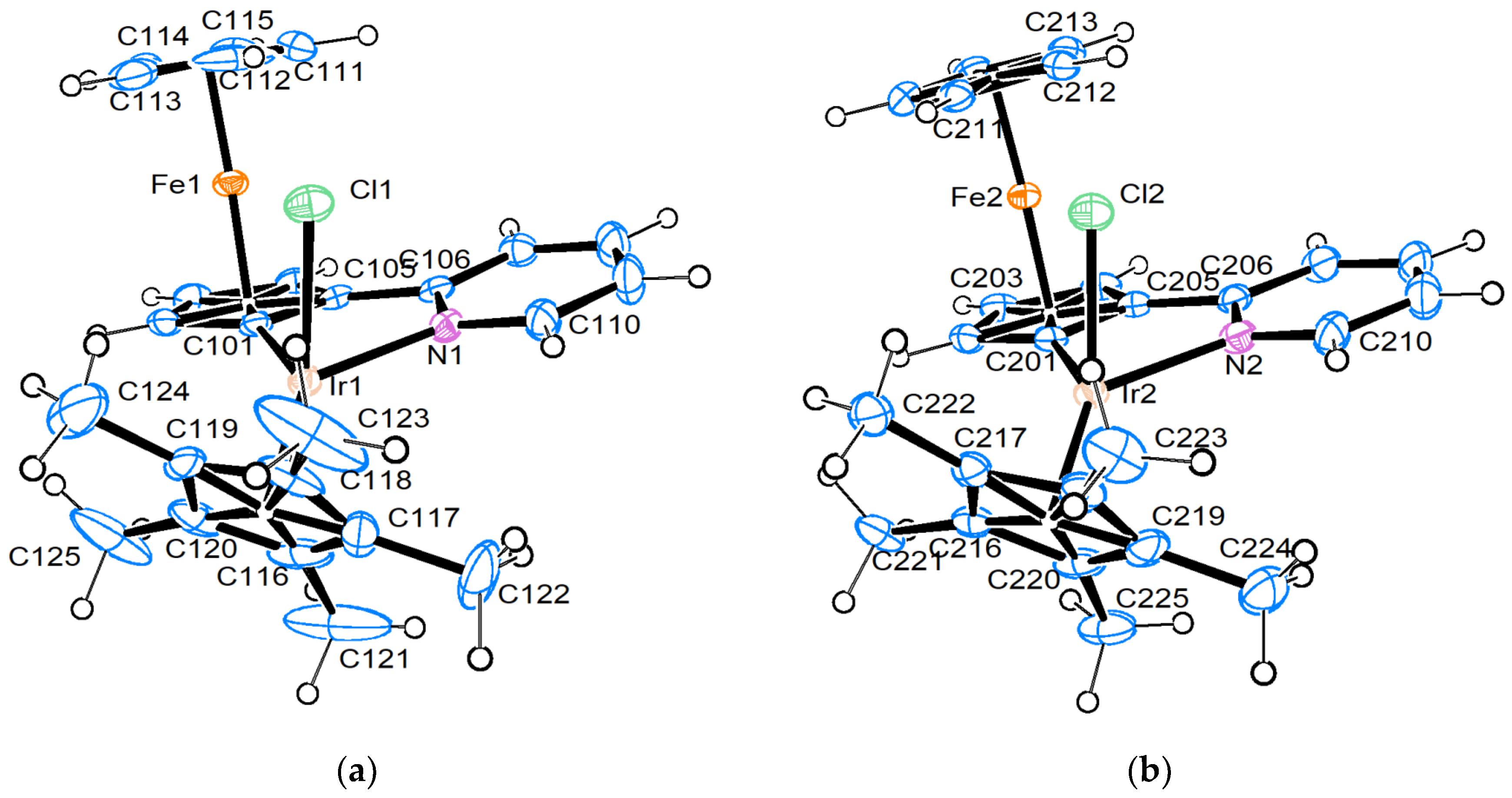 Molbank 2024 m1770 g001