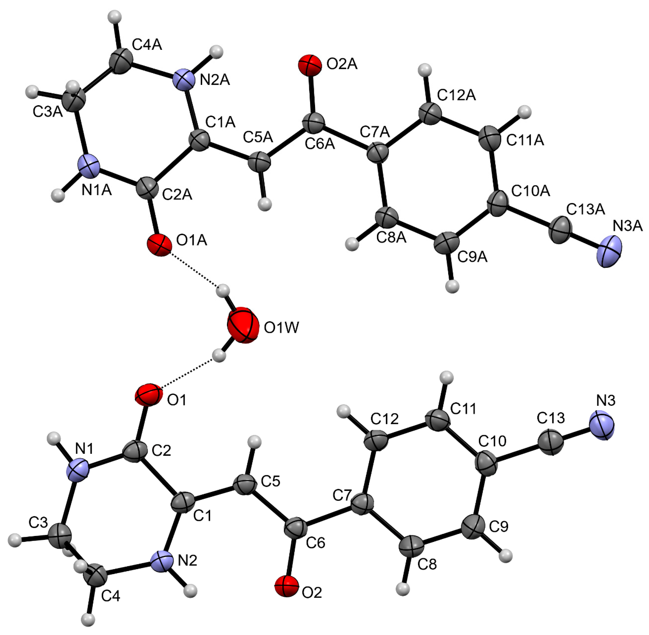 Molbank 2024 m1772 g003