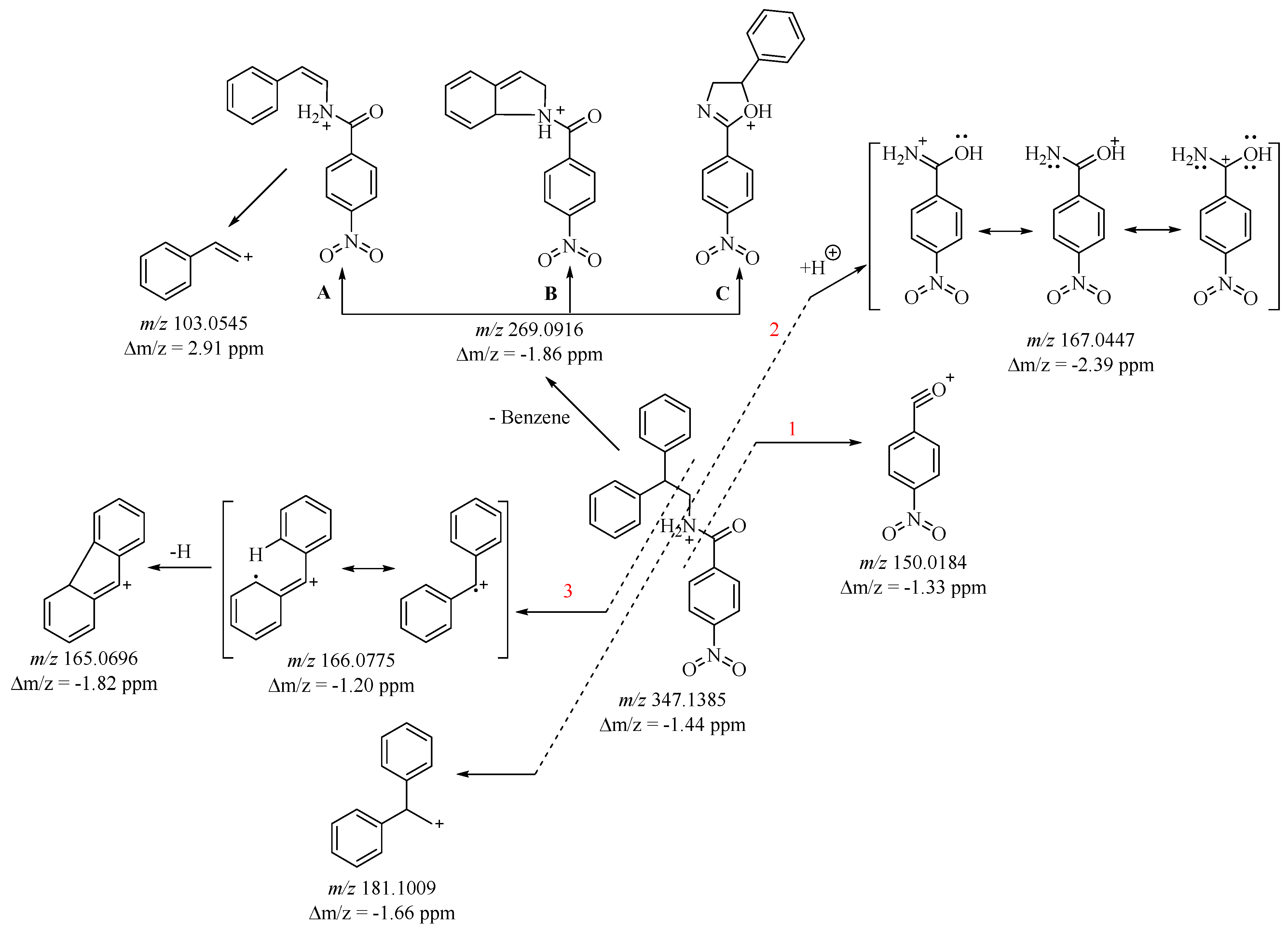 Molbank 2024 m1775 g002