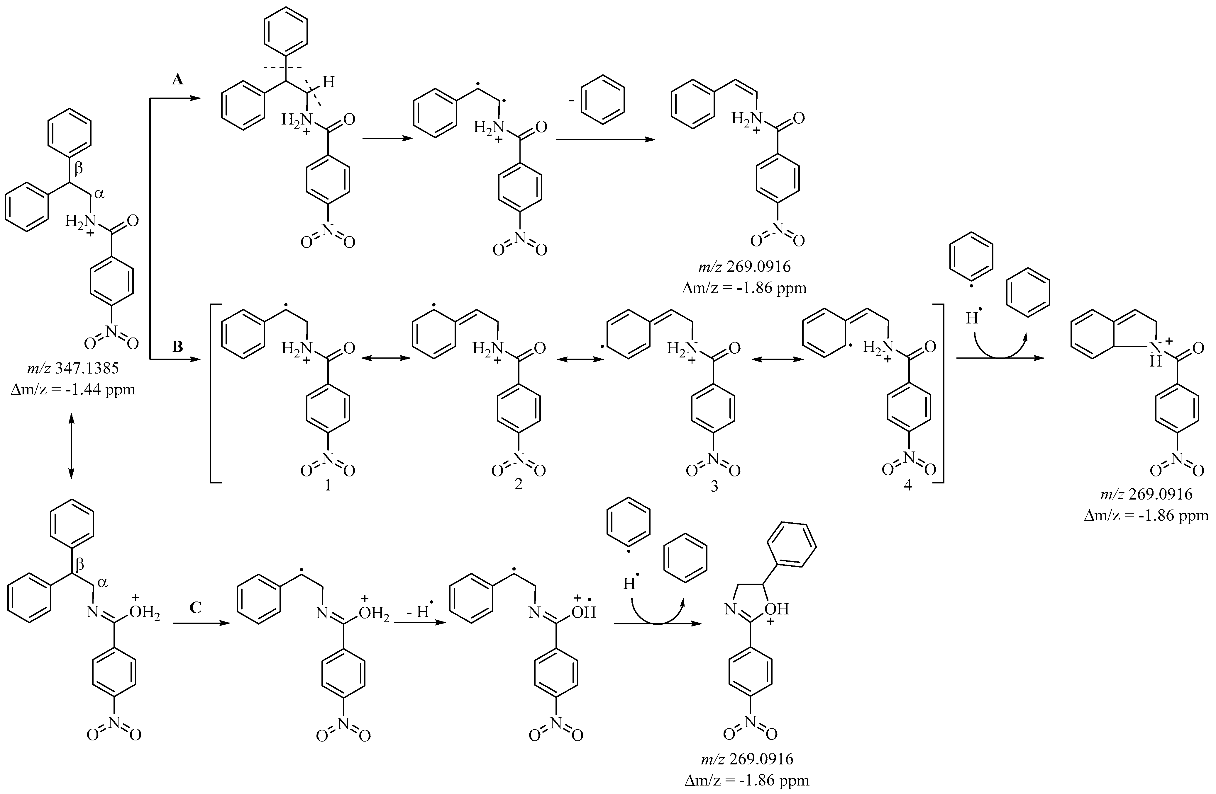 Molbank 2024 m1775 g003