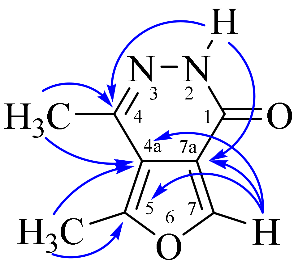 Molbank 2024 m1776 g002