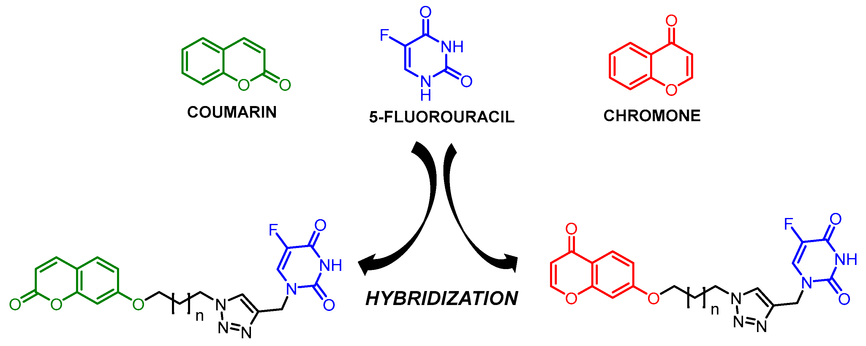 Molbank 2024 m1779 g001
