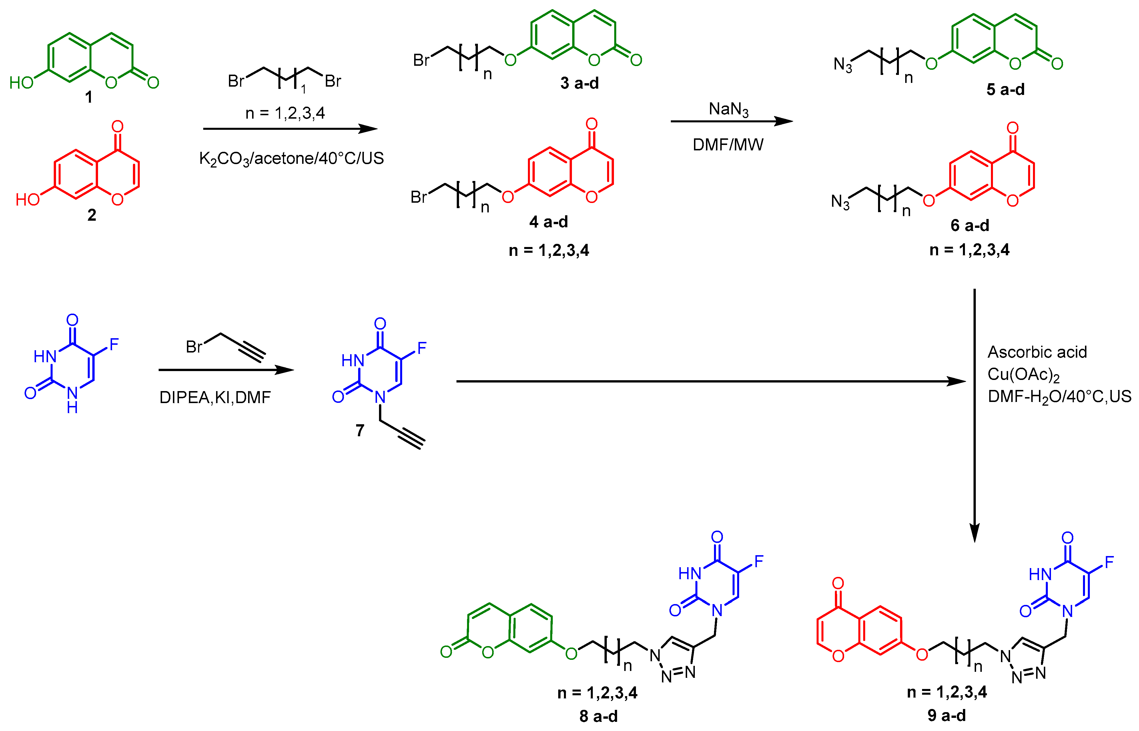 Molbank 2024 m1779 sch001