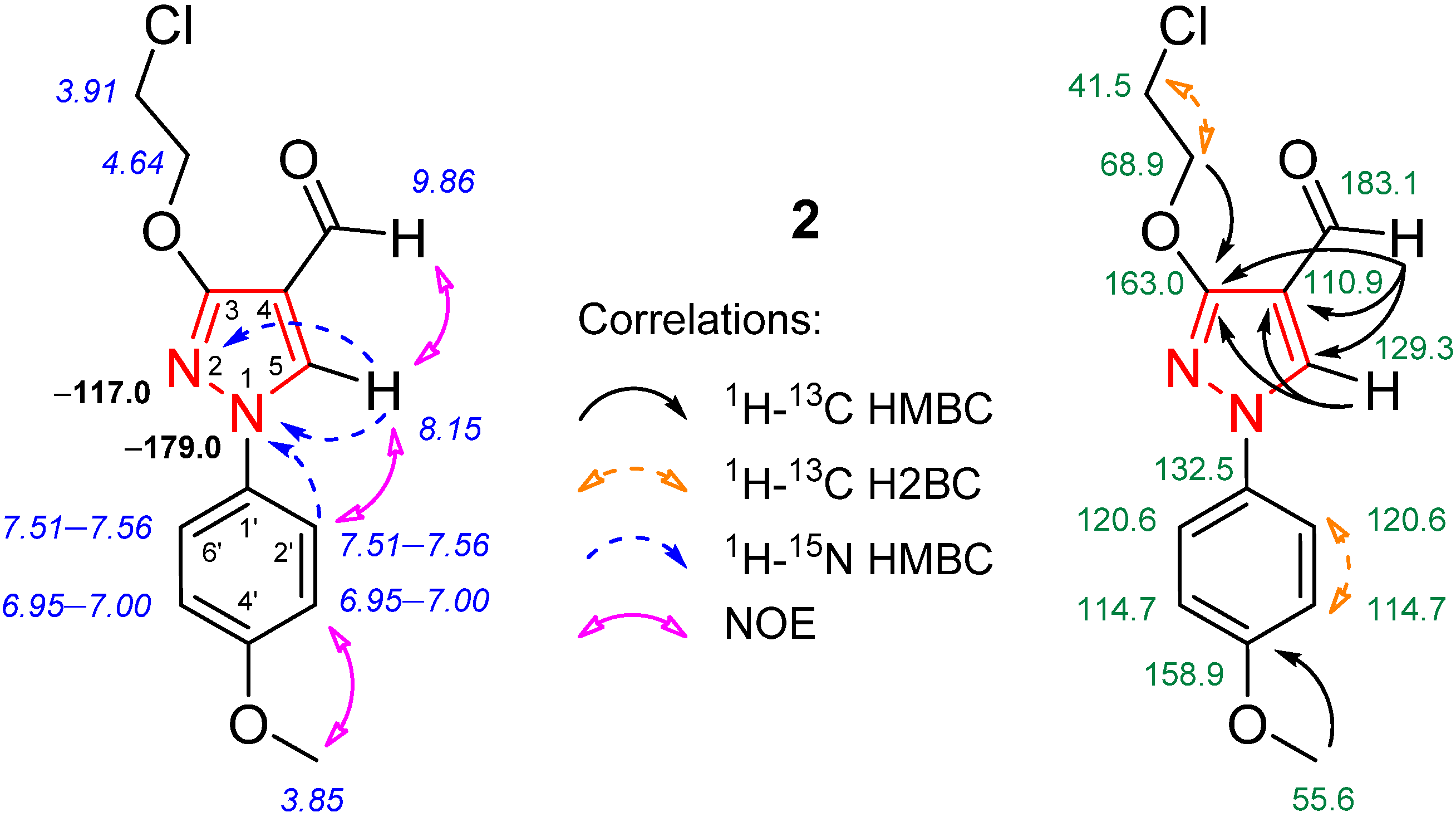 Molbank 2024 m1782 g002
