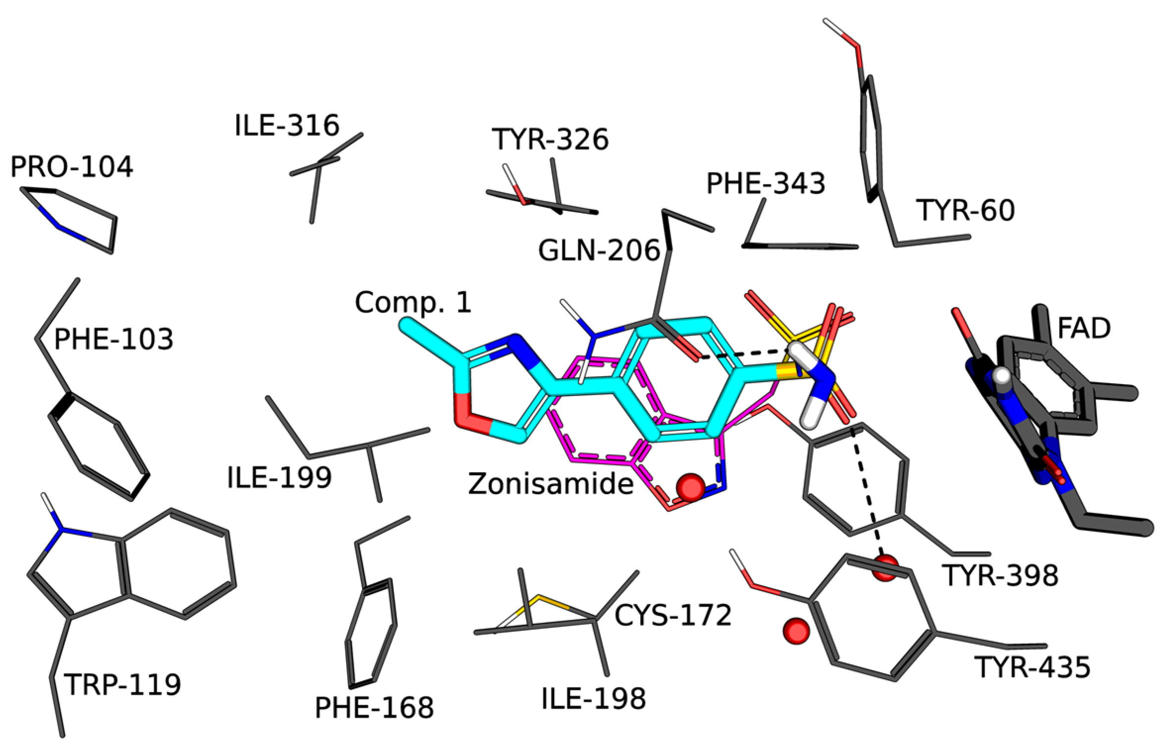 Molbank 2024 m1787 g002