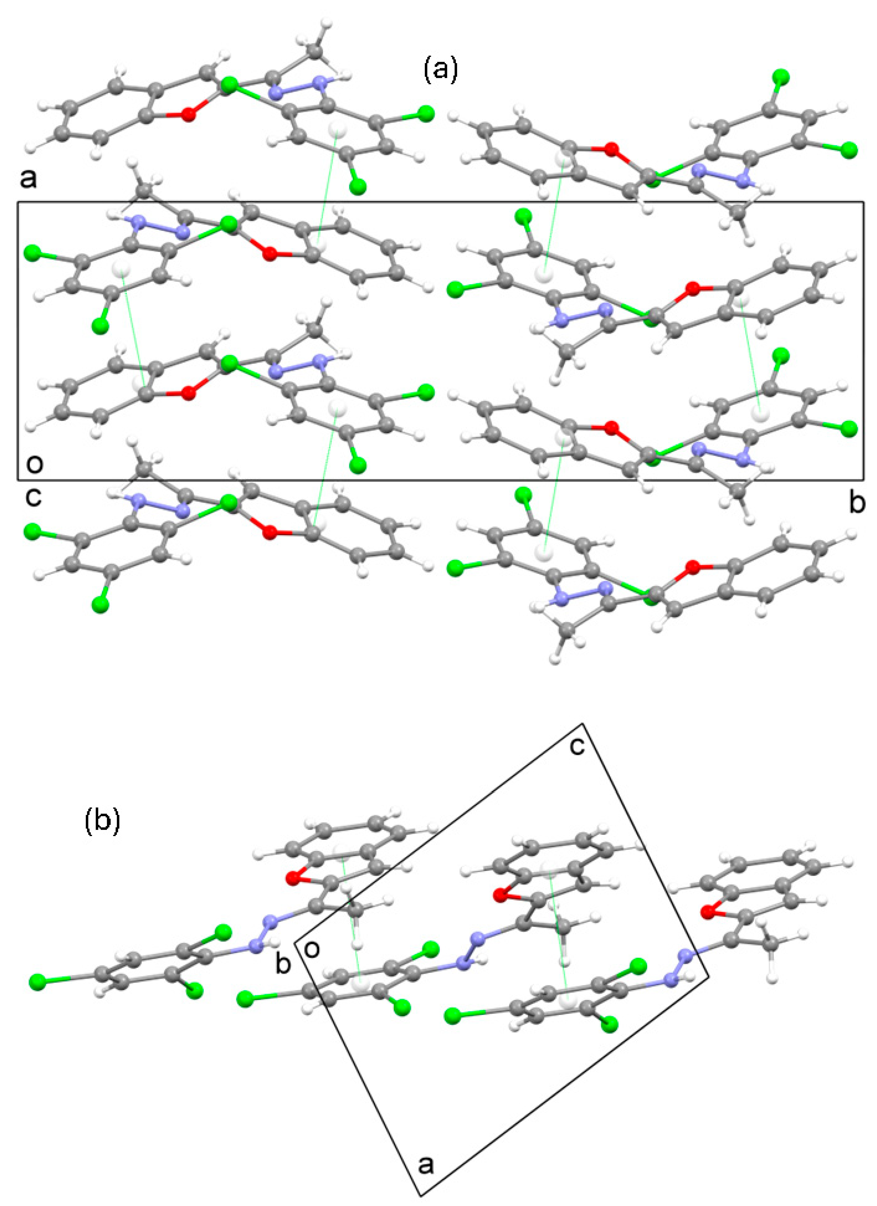 Molbank 2024 m1790 g002