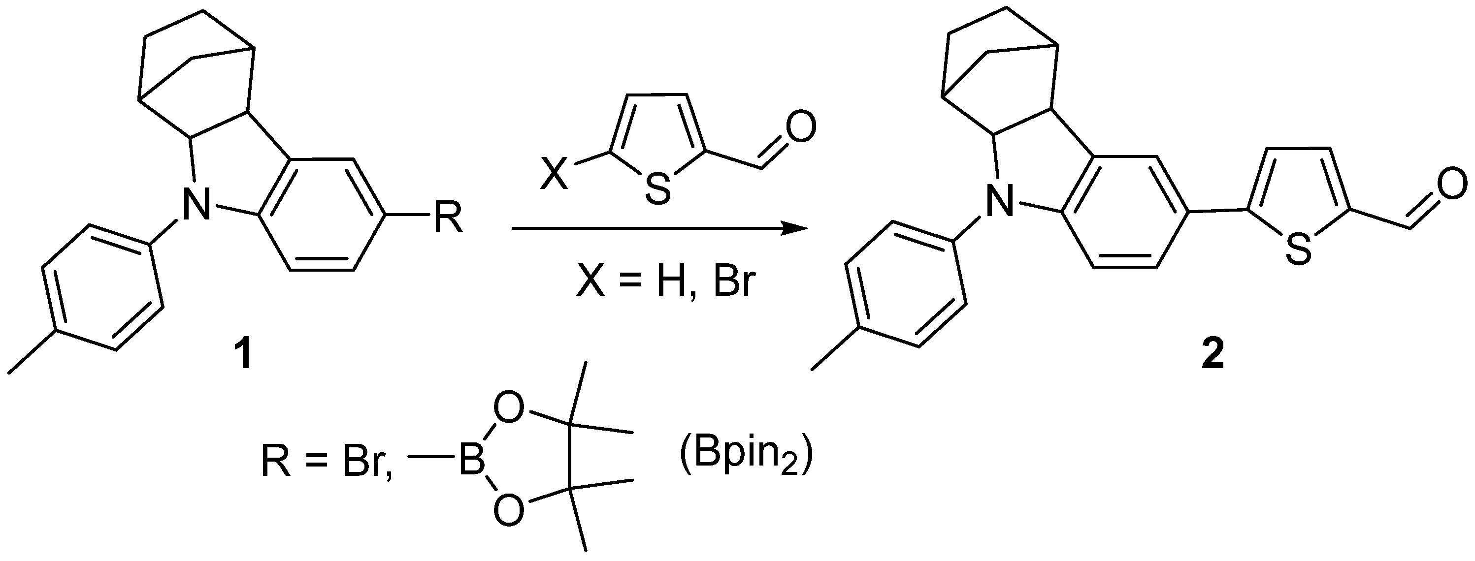 Molbank 2024 m1792 sch001