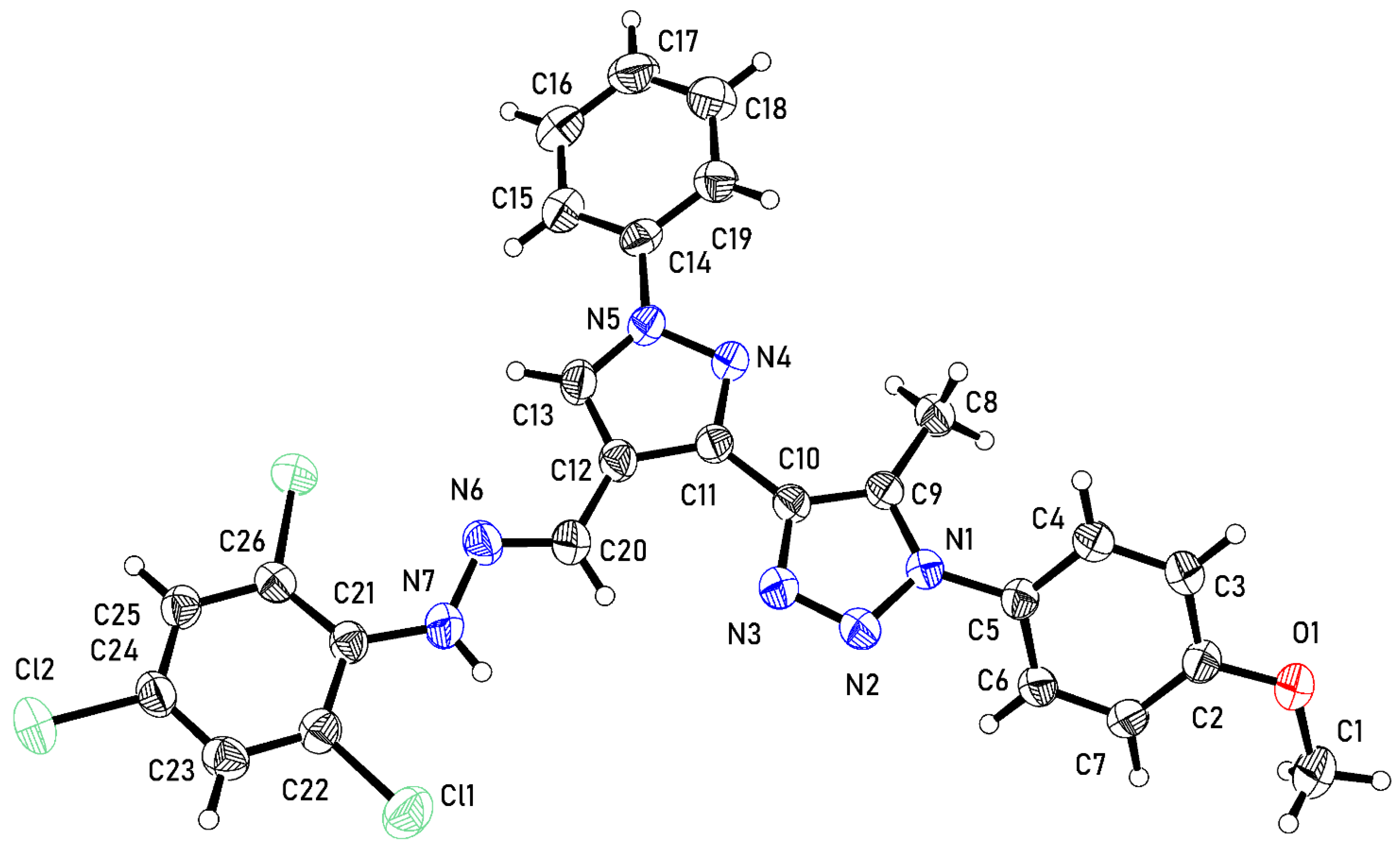Molbank 2024 m1798 g001