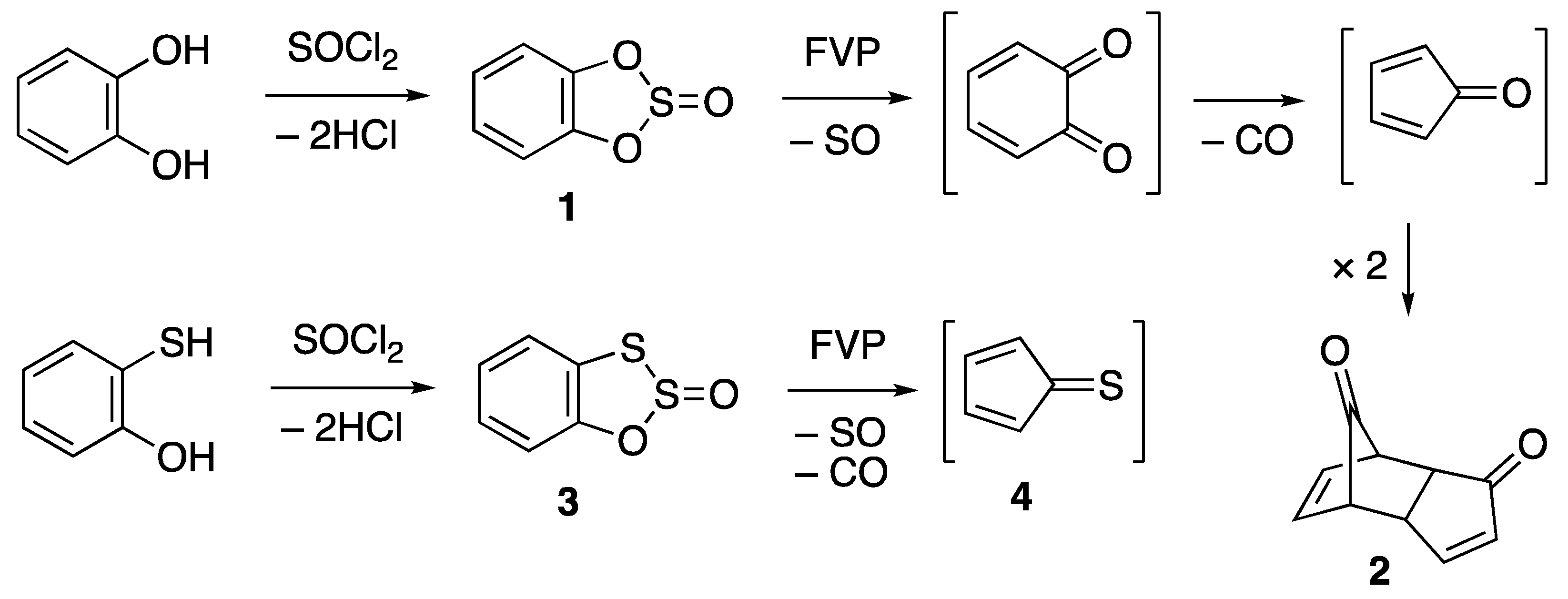 Molbank 2024 m1803 sch001