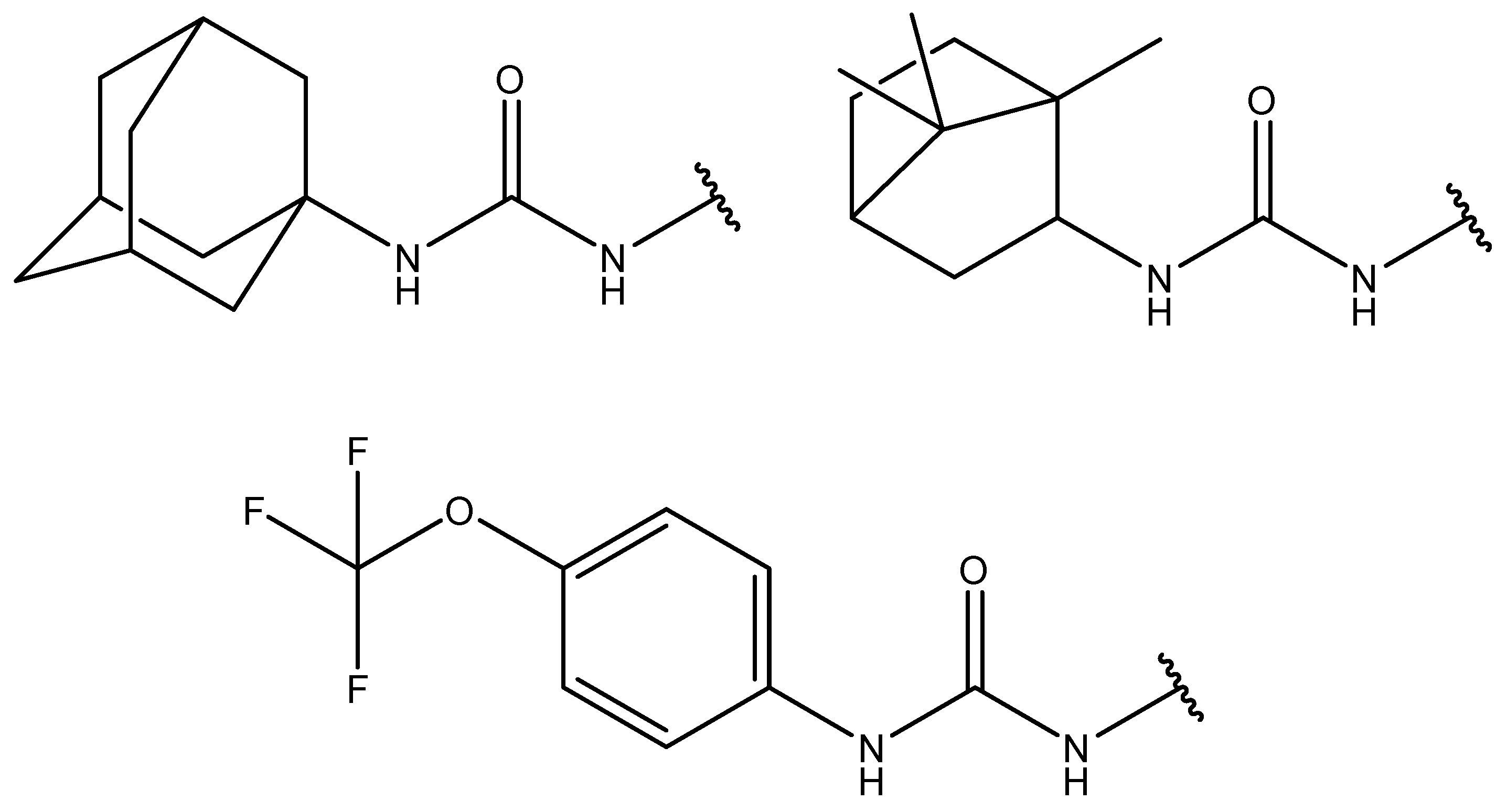 Molbank 2024 m1809 g001