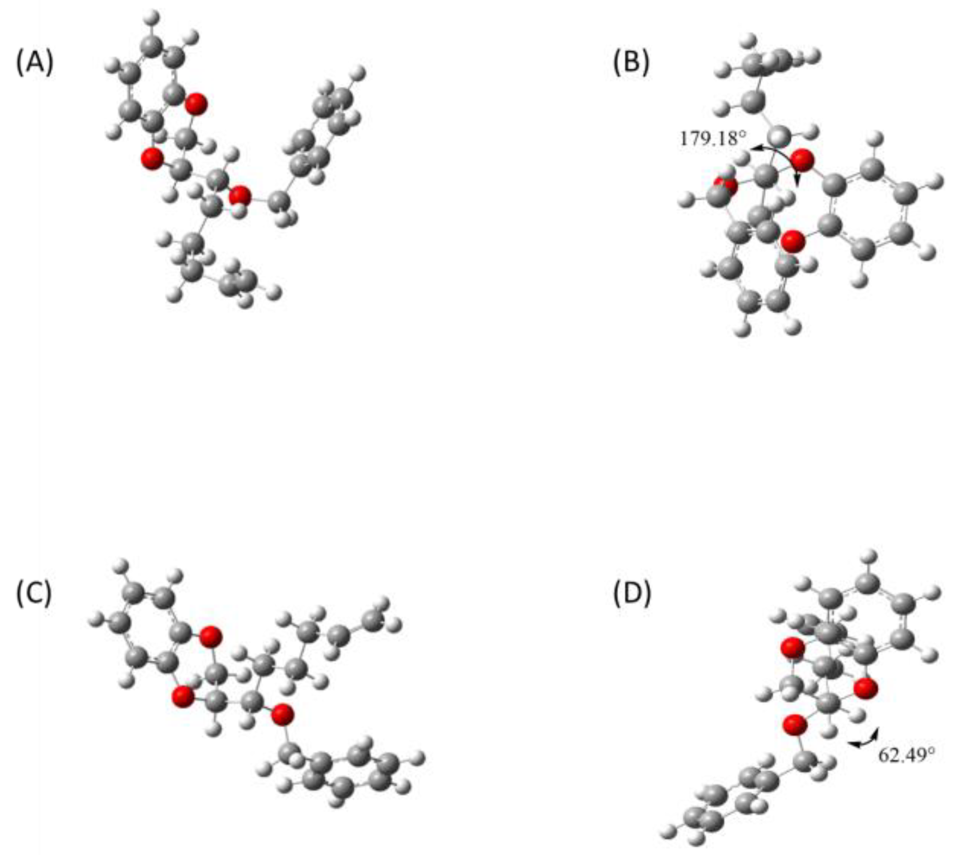 Molbank 2024 m1812 g002