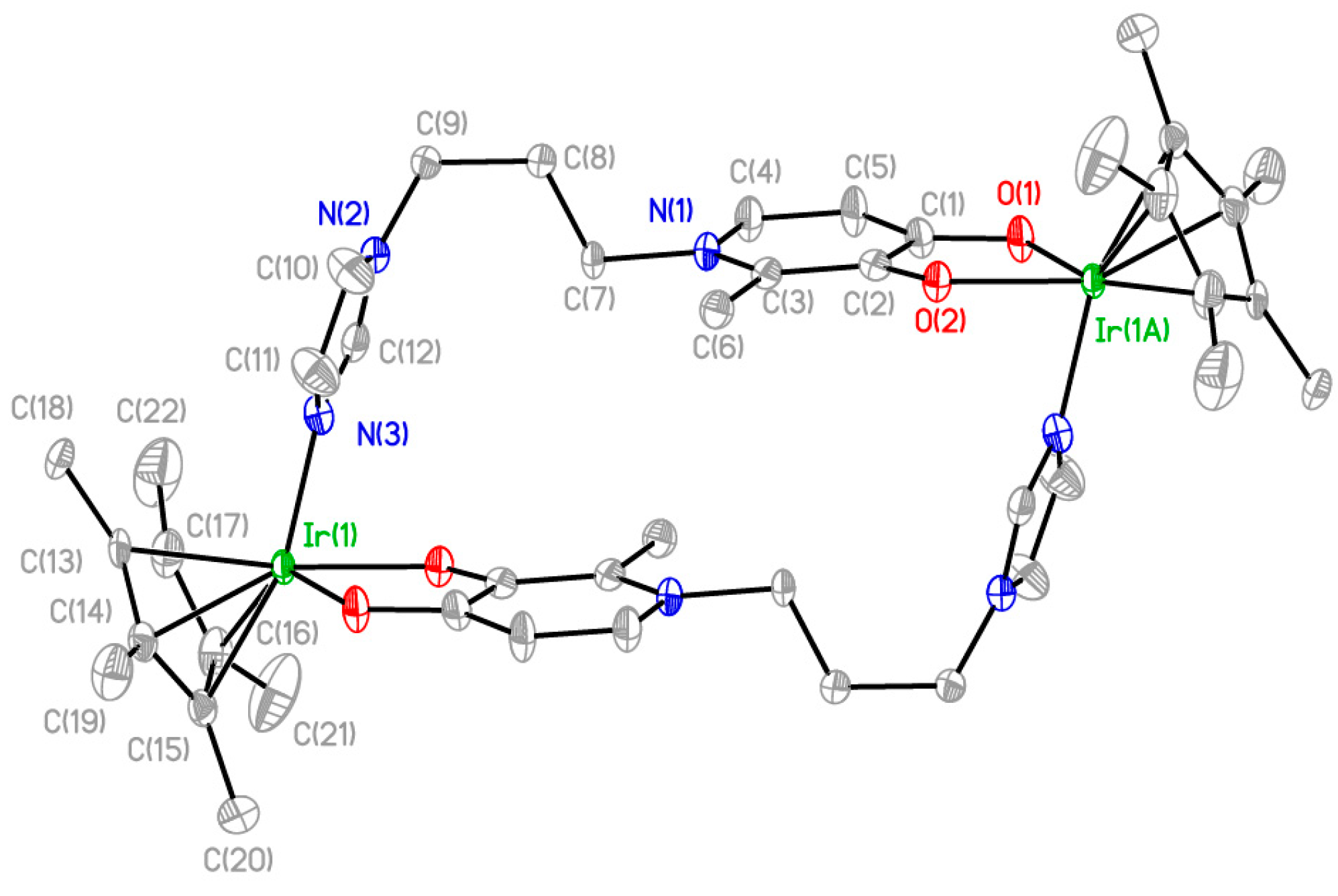 Molbank 2024 m1816 g001