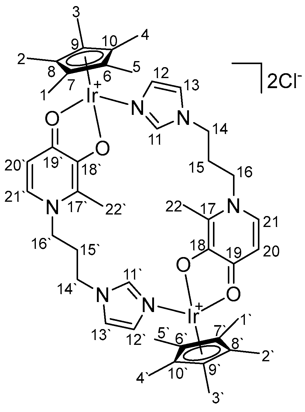 Molbank 2024 m1816 g002