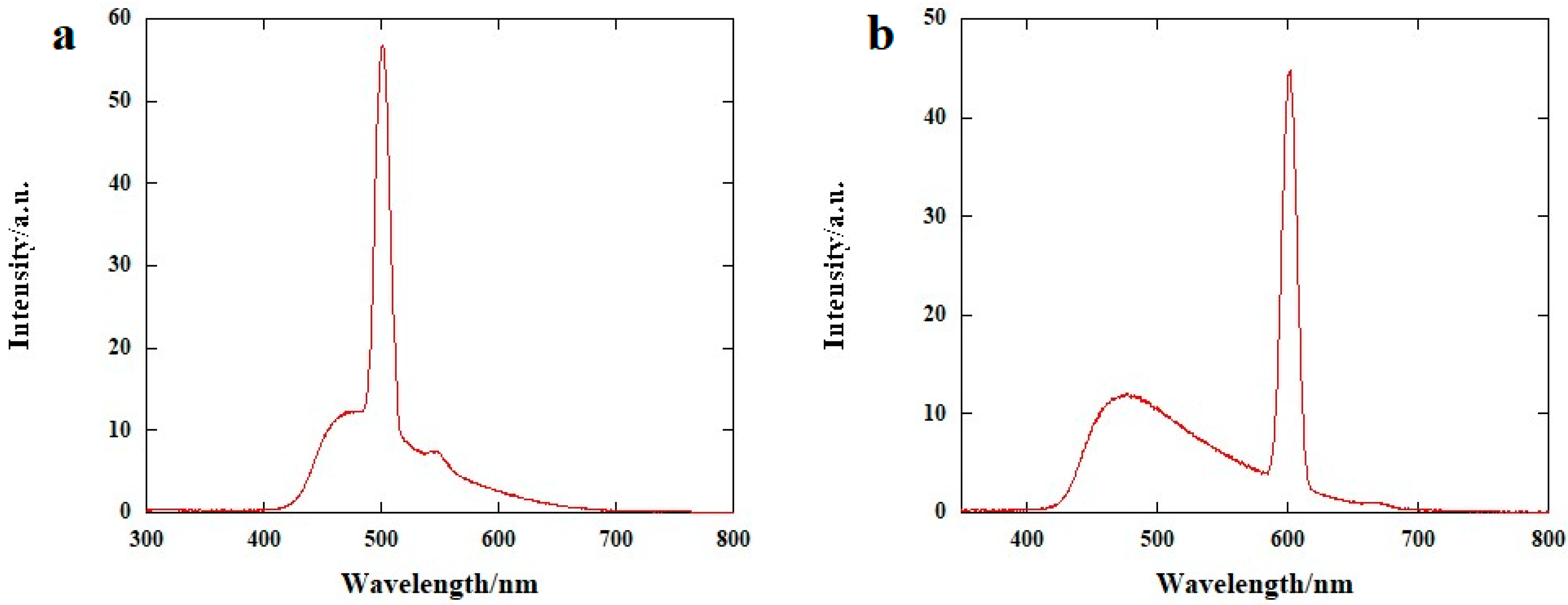 Molbank 2024 m1817 g003