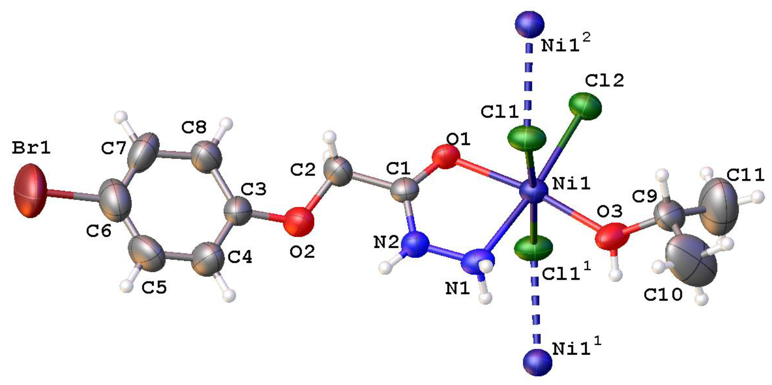 Molbank 2024 m1819 g002