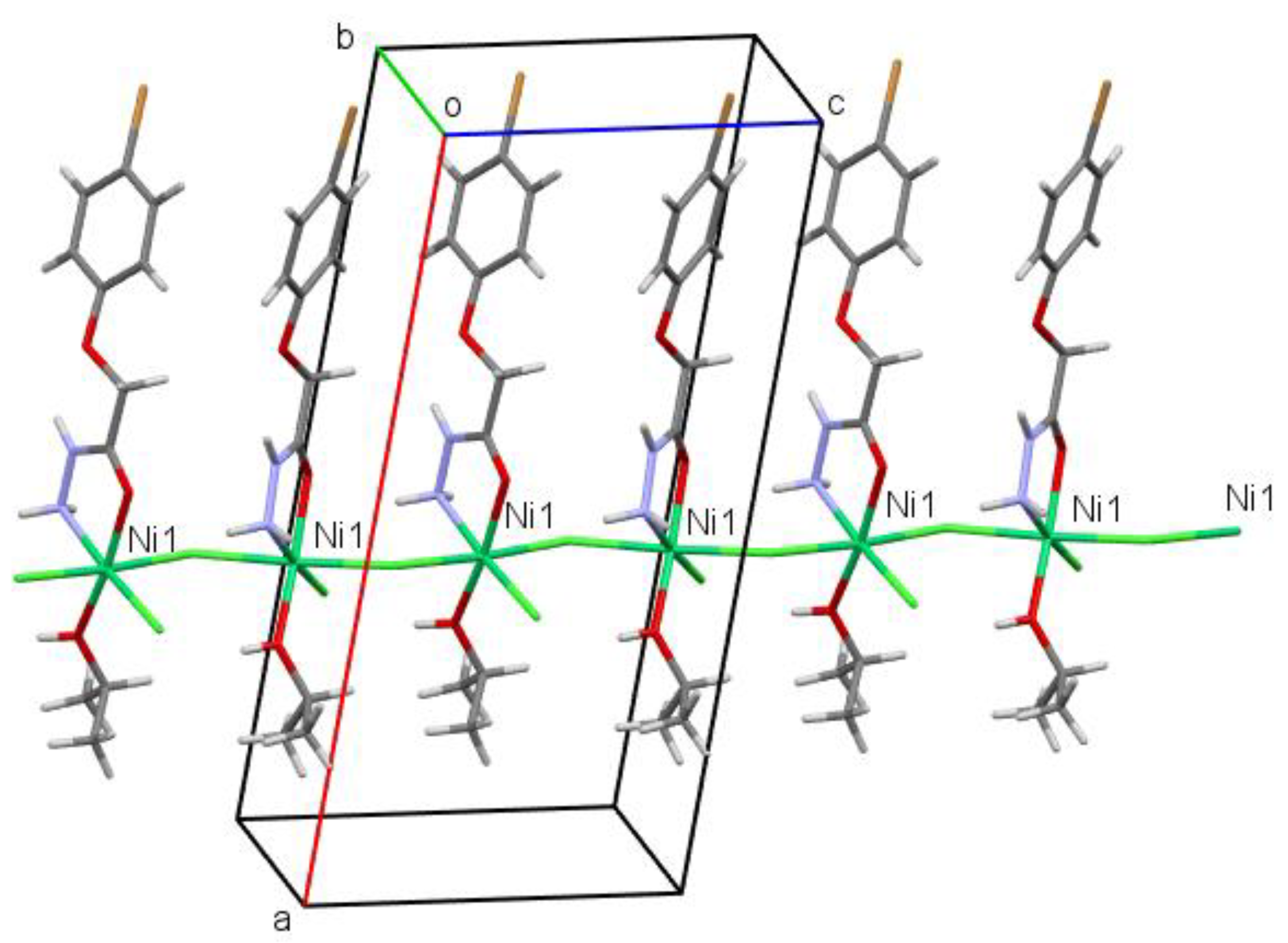 Molbank 2024 m1819 g003