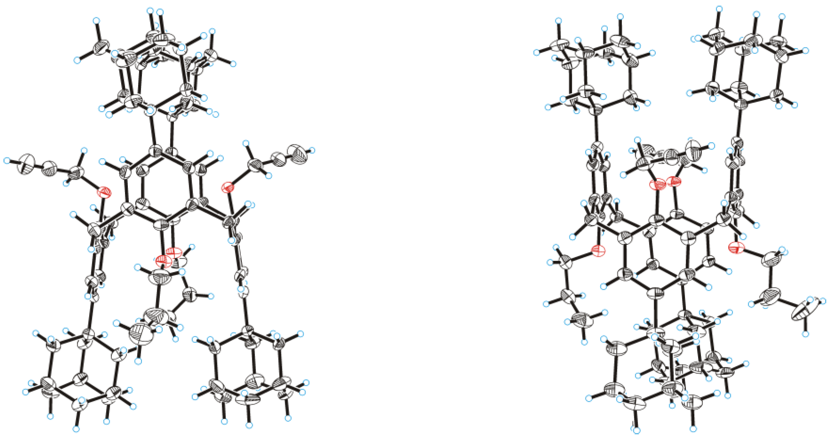 Molbank 2024 m1821 g001
